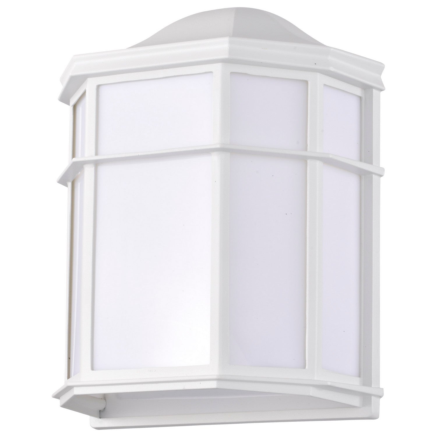 10 LED Cage Wall Lantern - 600 Lumens, 3000K Warm White Light - Outdoor/Indoor Wall Sconce for Patio, Garden, Porch & Entryway Lighting