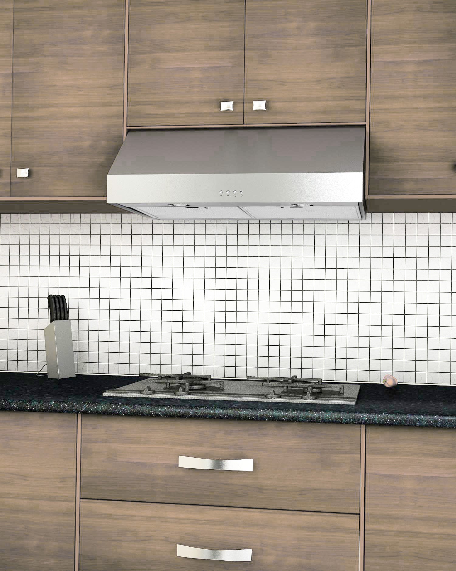 Advanta Pro III 30-Inch 450 CFM Under Cabinet Range Hood - Powerful Kitchen Ventilation for Smoke & Odor Removal - Perfect for Home Cooking, Grilling & Baking