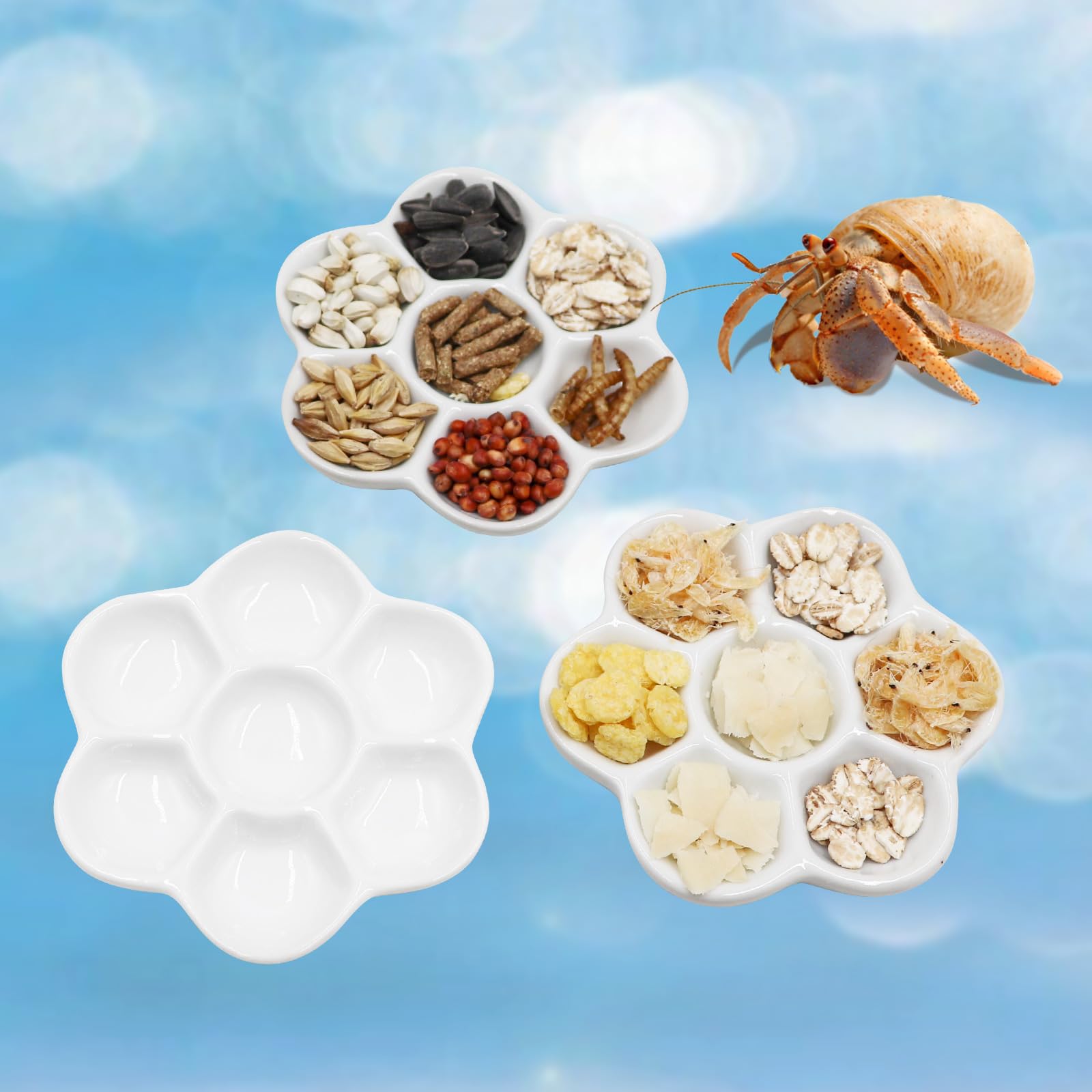 3 Pcs Hermit Crab Ceramic Food & Water Bowls - Mini Feeding Dish Kit for Hermit Crabs, Tarantulas, Snails - Durable Pet Reptile Supplies for Terrarium Habitat