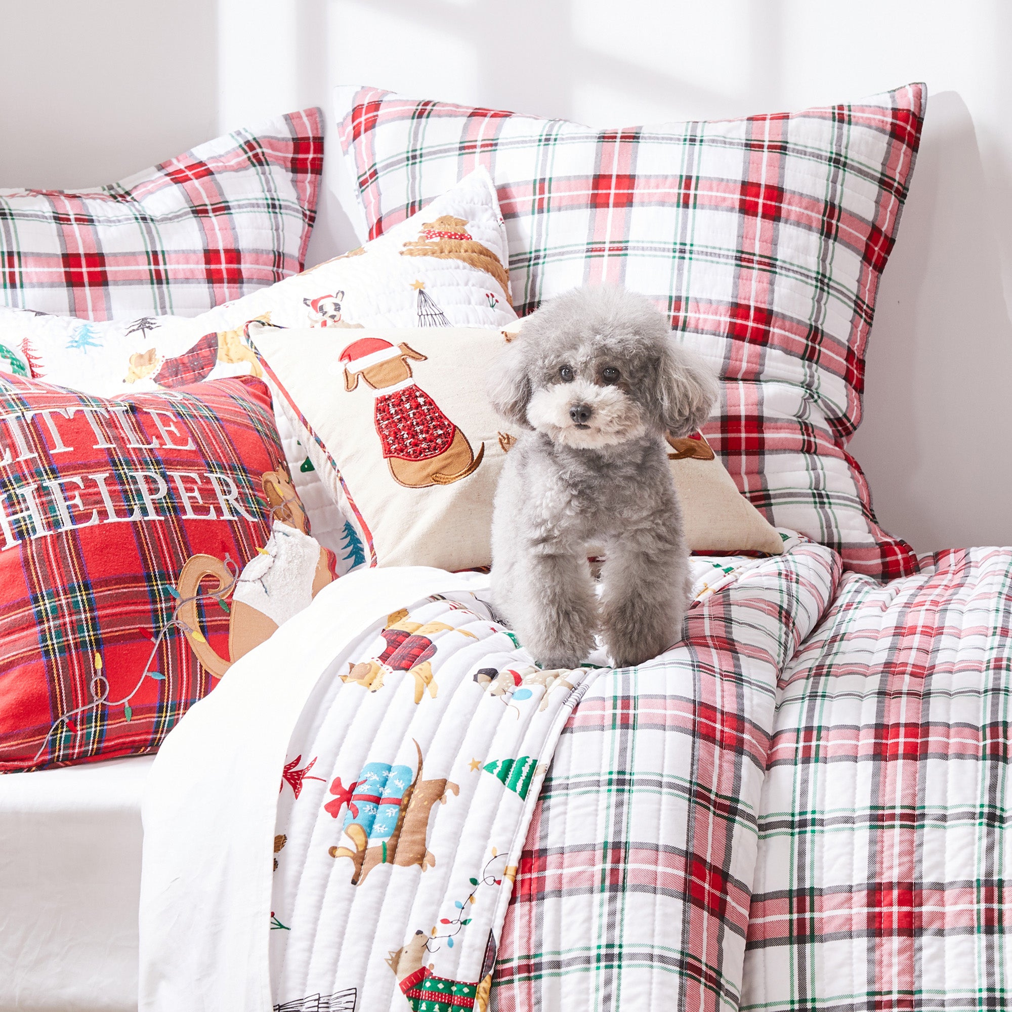 Jingle Paws Christmas Pet Blanket Set - Cozy Holiday Dog & Cat Bedding for Winter - Perfect for Pet Beds, Couches & Holiday Decor