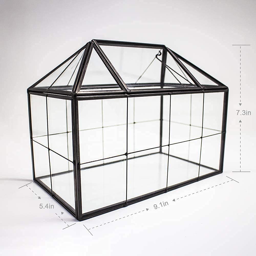 Ferrisland Glass Terrarium Greenhouse - House Shape Display Box for Succulents & Air Plants | Modern Tabletop Decor Planter Container | Perfect for Home Office, Wedding Centerpiece & DIY Garden Projects