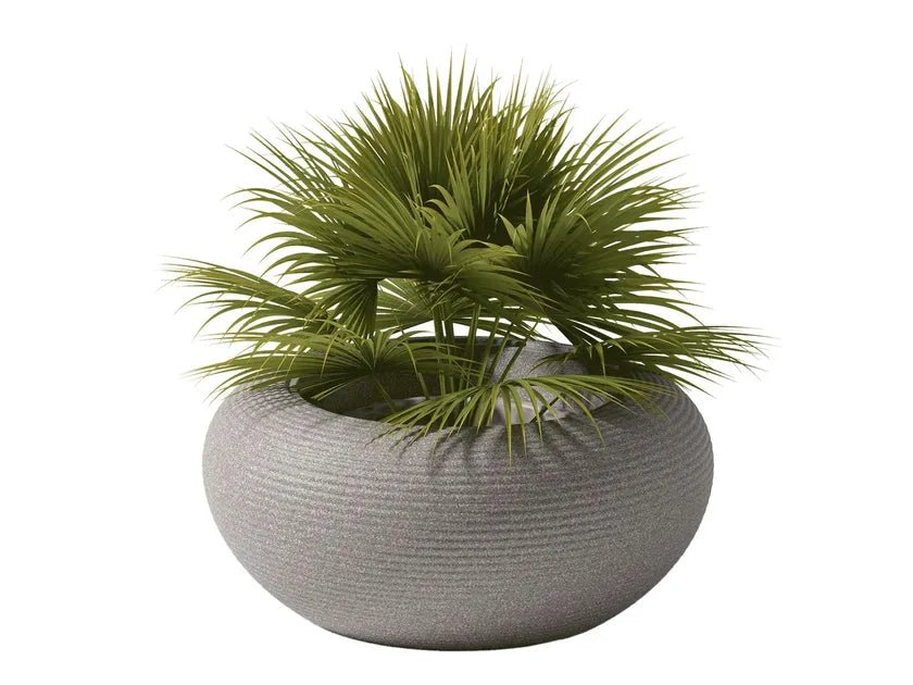Qeeboo Nami Planter - Modern Whale-Shaped Flower Pot for Indoor Plants, Succulents & Home Decor - Perfect for Living Room, Office & Garden Decorations