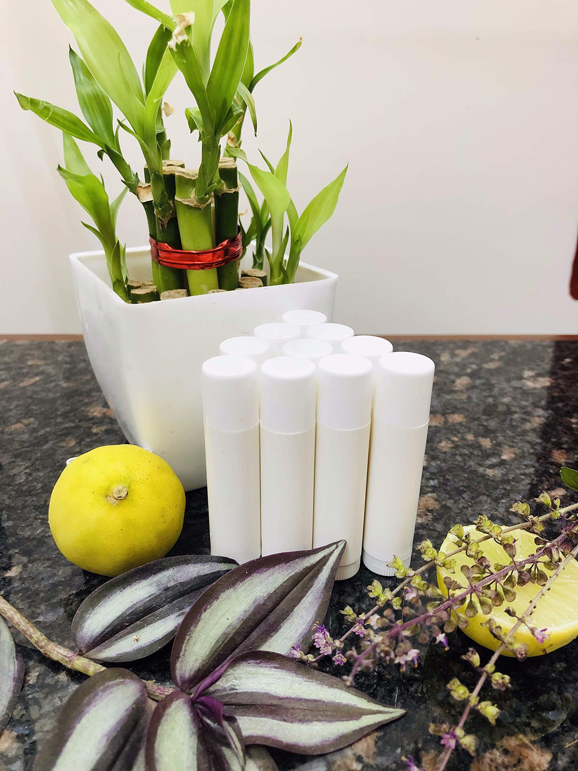 50pcs Empty Lip Balm Tubes - White Chapstick Containers for DIY Lip Gloss & Balm - Perfect for Homemade Cosmetics, Travel Size, and Gift Packaging