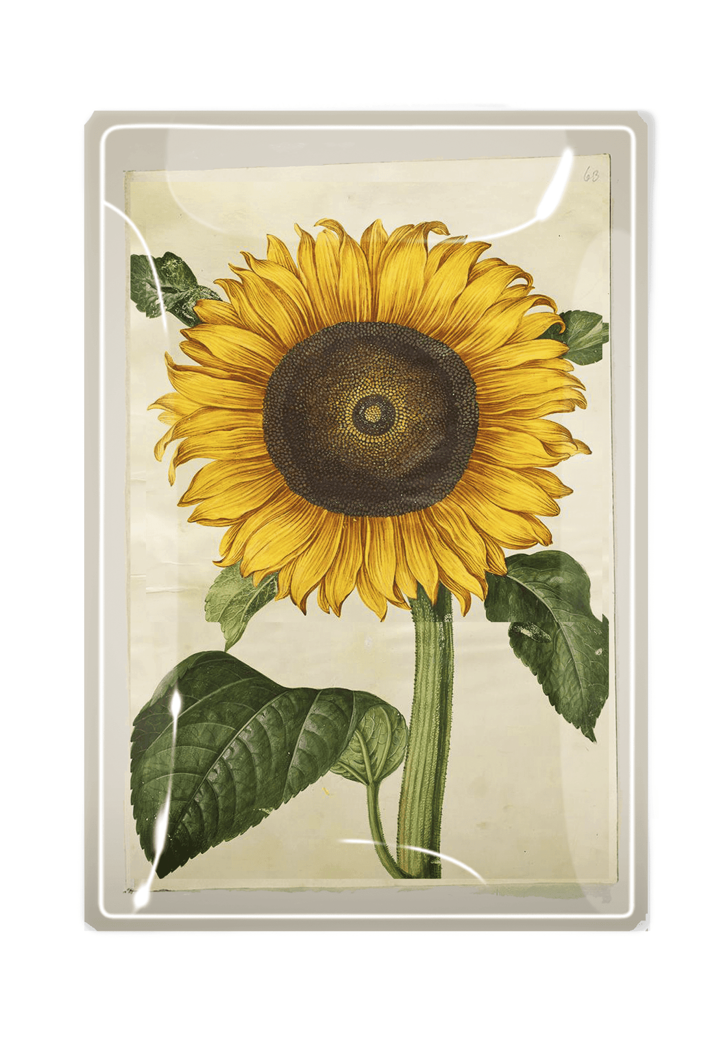 Sunflower Decoupage Glass Tray - Handmade Floral Serving Tray for Coffee, Tea, and Desserts - Perfect for Home Decor and Gift Giving