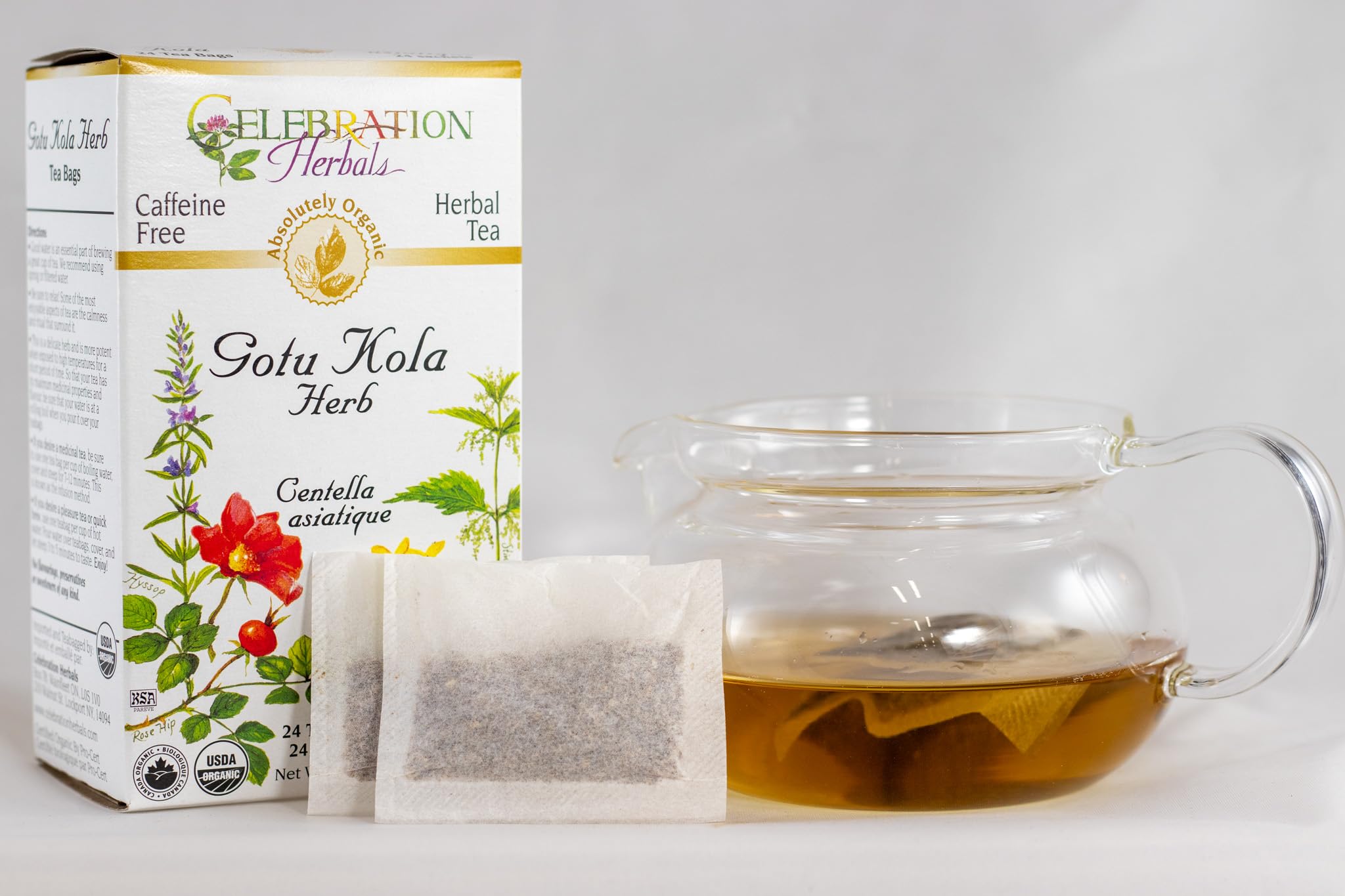 Celebration Herbals Organic Gotu Kola Tea Bags - 24 Count | Herbal Wellness Tea for Memory & Circulation | Perfect for Relaxation & Focus