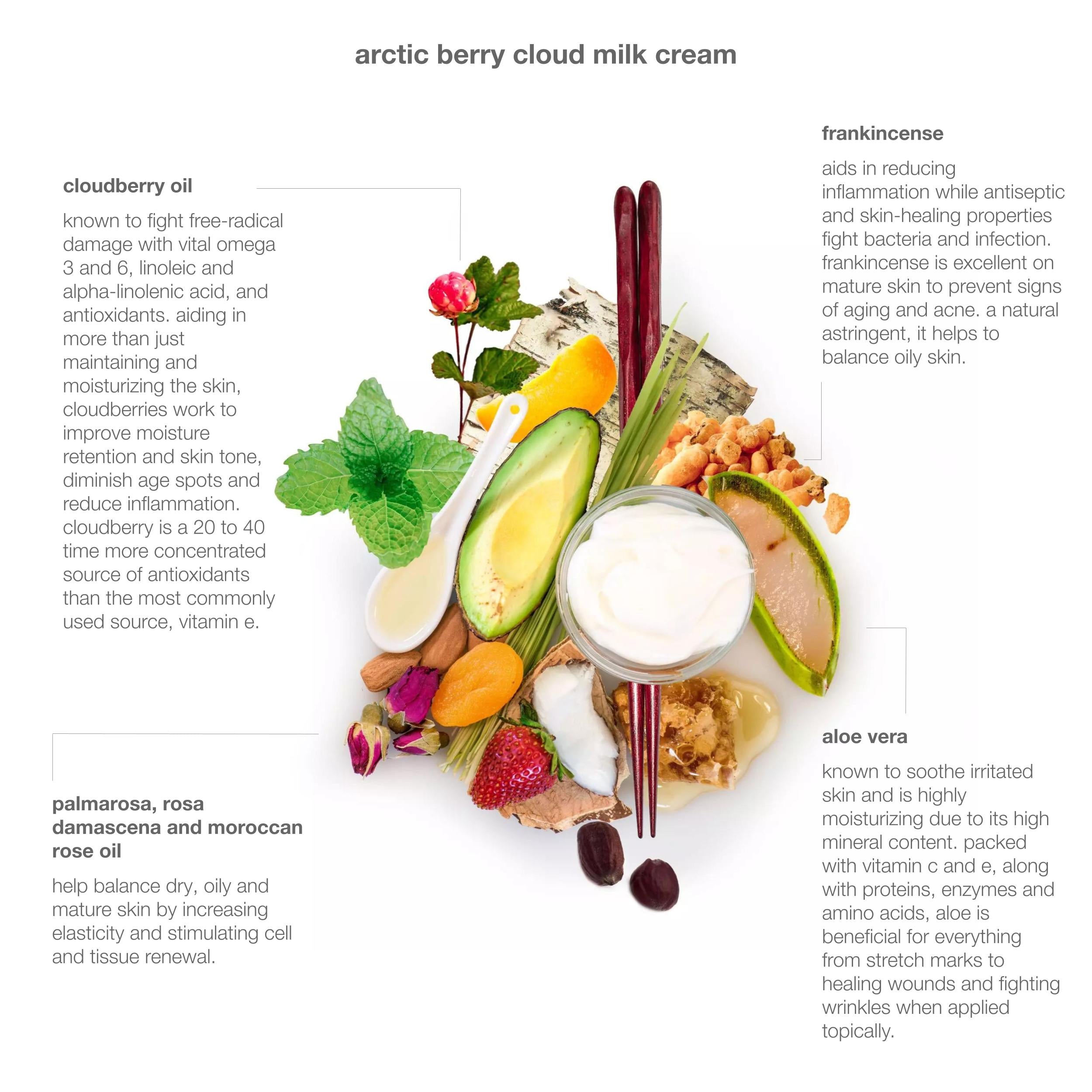 Arctic Berry Cloud Milk Cream - Hydrating & Nourishing Face Moisturizer for Dry & Sensitive Skin | Perfect for Daily Skincare Routine & Night Care