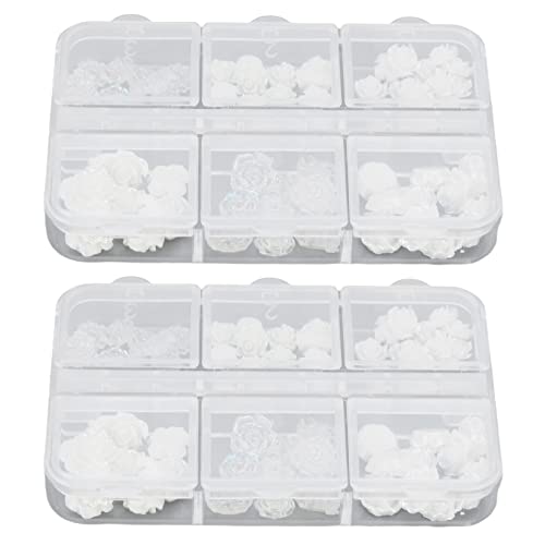 Premium Nail Art Rhinestones - 2 Pack Resin Nail Decorations for Women | DIY Manicure, Salon & Spa Use | Elegant Multifunctional Nail Gems for Professional & Home Nail Art Designs