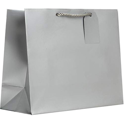 Matte Metallic Silver