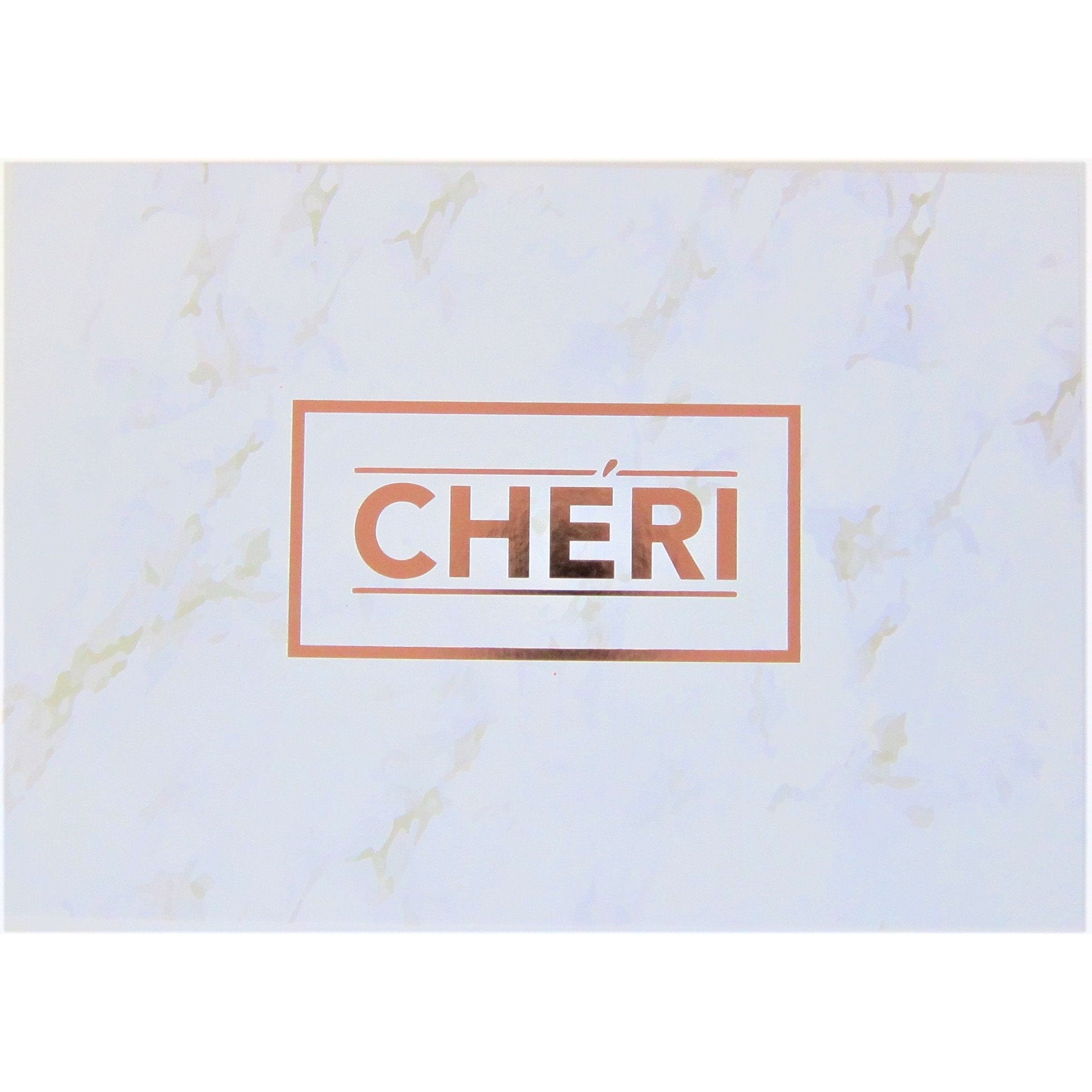 Cheri Marble Tint Kit #MT KIT02 - Professional Nail Art Stamping Polish Set for DIY Manicure at Home or Salon Use