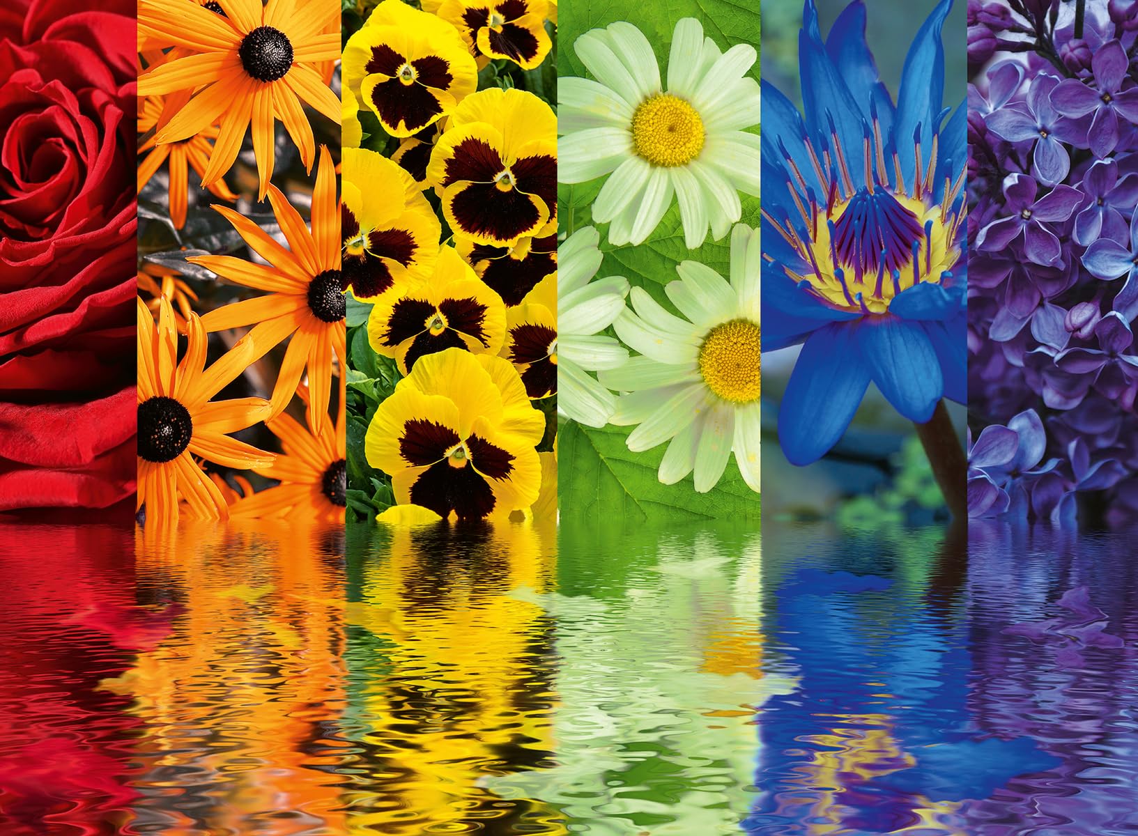 Ravensburger 500-Piece Flower Puzzle for Adults & Kids - Premium Jigsaw Puzzle with Glue for Framing - Unique Gift for Women - Perfect for Family Bonding, Home Decor & Relaxation