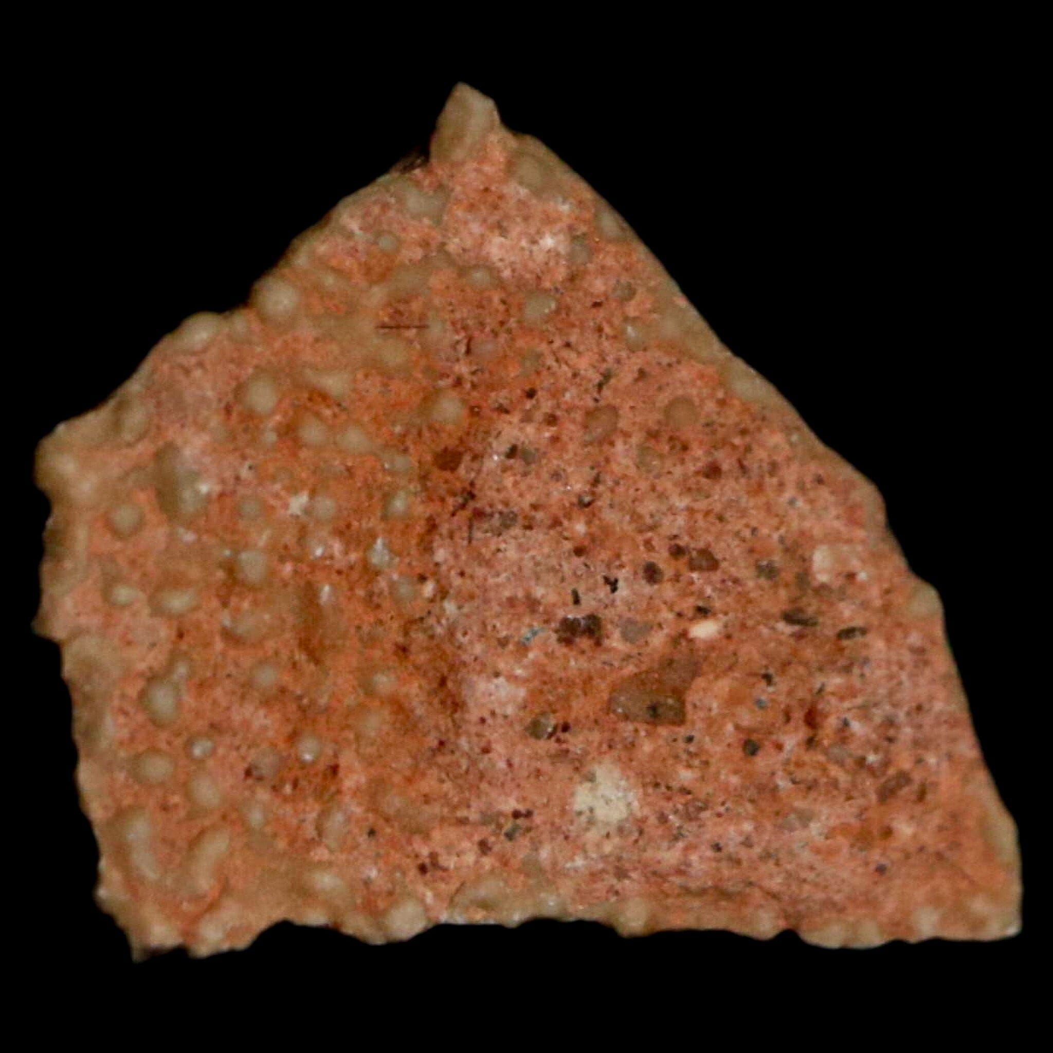 Authentic 0.5 Megaloolithus Titanosaur Dinosaur Fossil Egg Shell from Bouches-du-Rhône, France - Rare Collector's Item for Museum Display & Paleontology Enthusiasts - Perfect for Educational Exhibits, Home Decor, and Science Classrooms