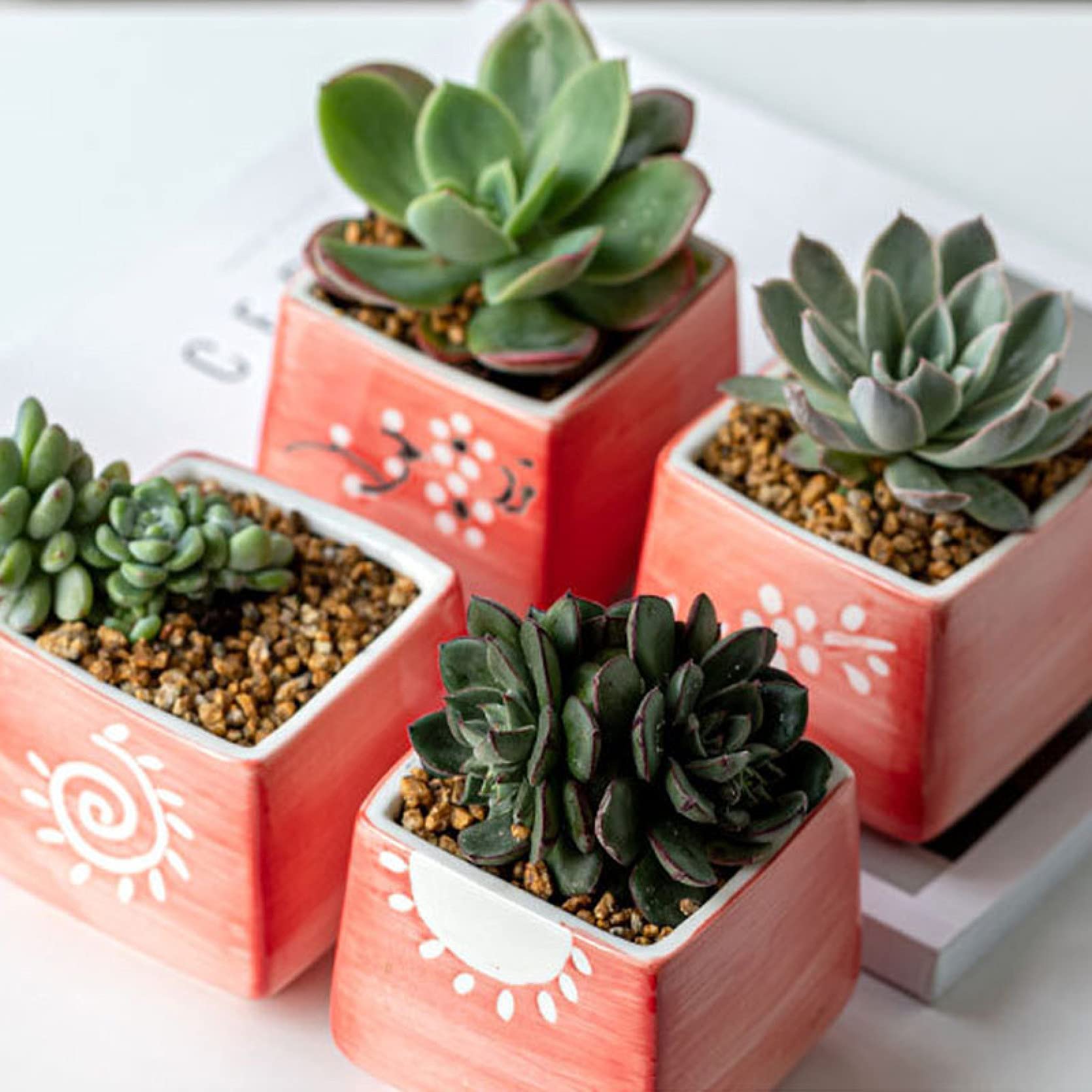 Hand-Painted Pink Ceramic Succulent Planter - Small Flower Pot for Office Desk, Home & Garden Decor - Perfect for Indoor Plants, Cacti & Fresh Flowers