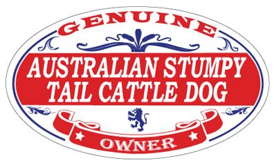 Australian Stumpy Tail Cattle Dog Oval Magnet - Cute Pet Lover Gift for Fridge, Office, or Home Decor