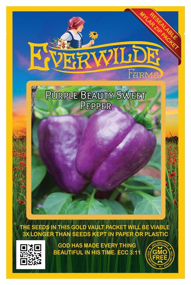 Everwilde Farms - 25 Purple Beauty Sweet Pepper Seeds - Non-GMO, Heirloom, Gold Vault Jumbo Seed Packet for Home Gardening, Container Planting & Fresh Salads