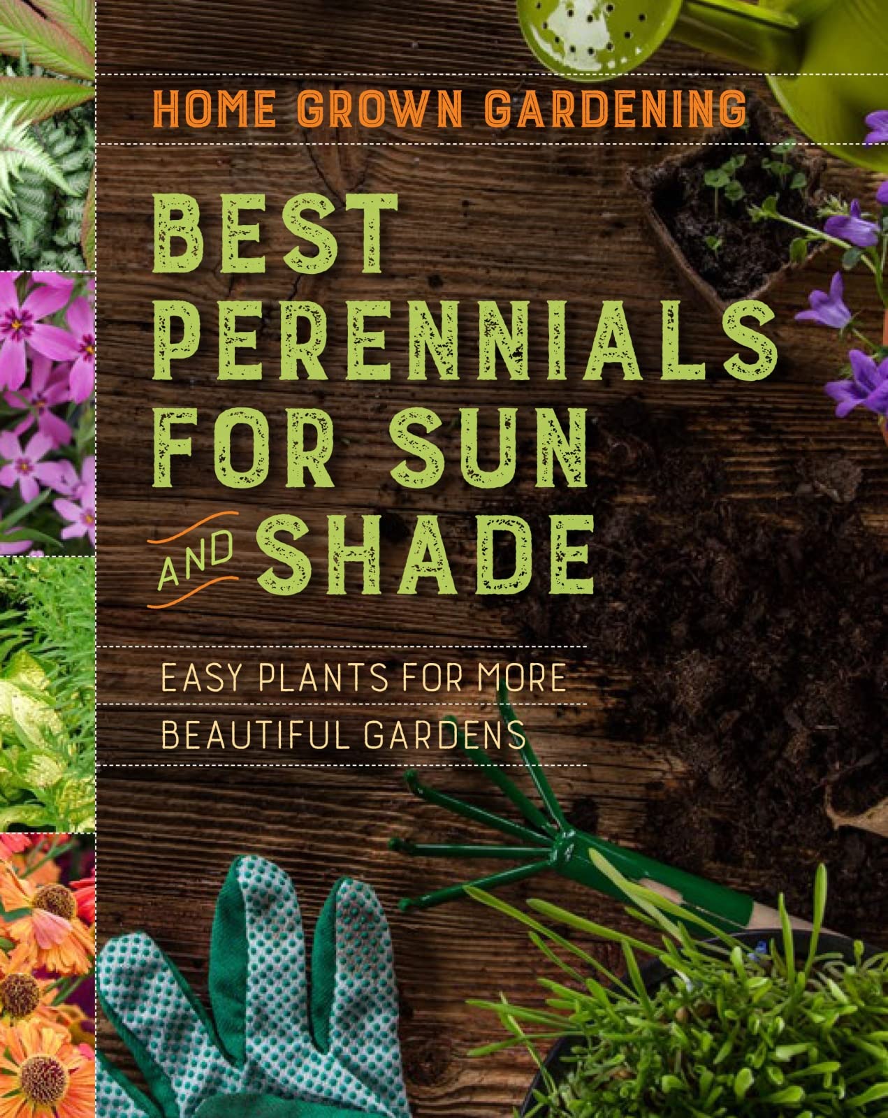 Best Perennial Flowers for Sun and Shade - Low Maintenance Home Garden Plants for Landscaping, Borders & Outdoor Decor