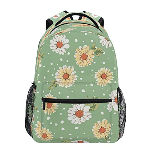 Daisy Flowers