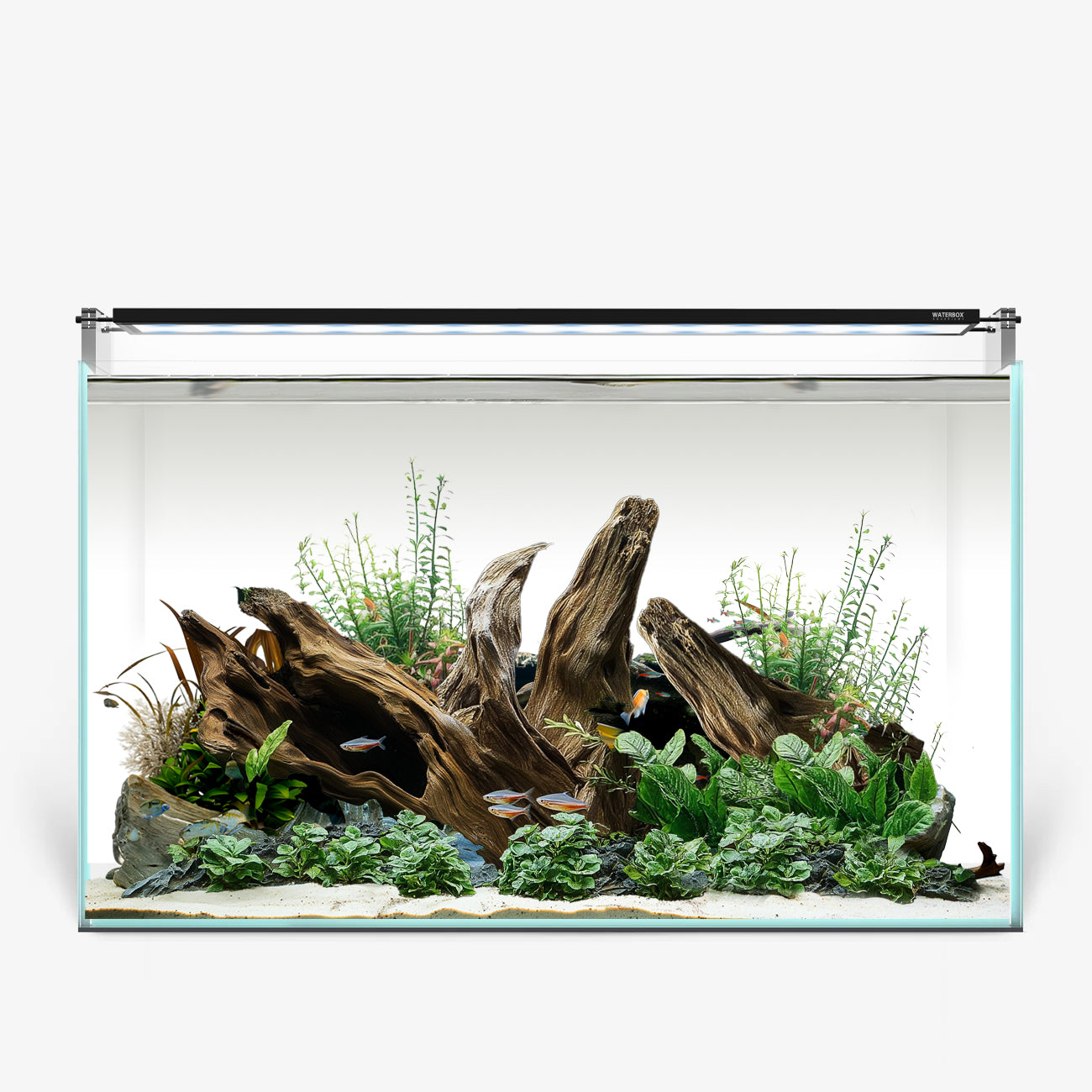 Clear Mini 16 Plus Edition - Compact & Portable Smartphone for Travel, Work & Everyday Use