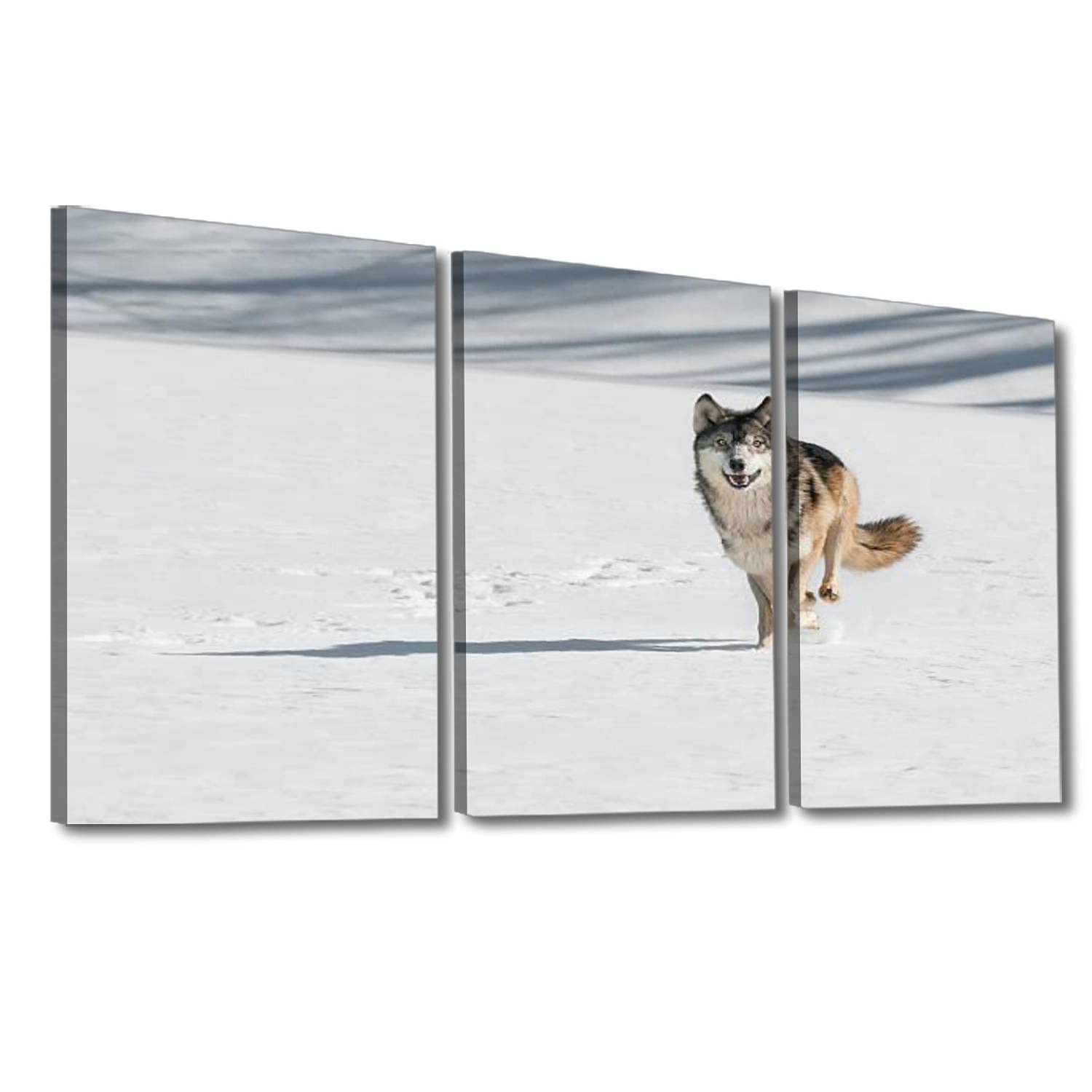 Grey Wolf Running Canvas Print - Framed Wall Art for Home & Office Decor - Ready to Hang Wildlife Painting - Perfect for Living Room, Bedroom or Cabin Decor
