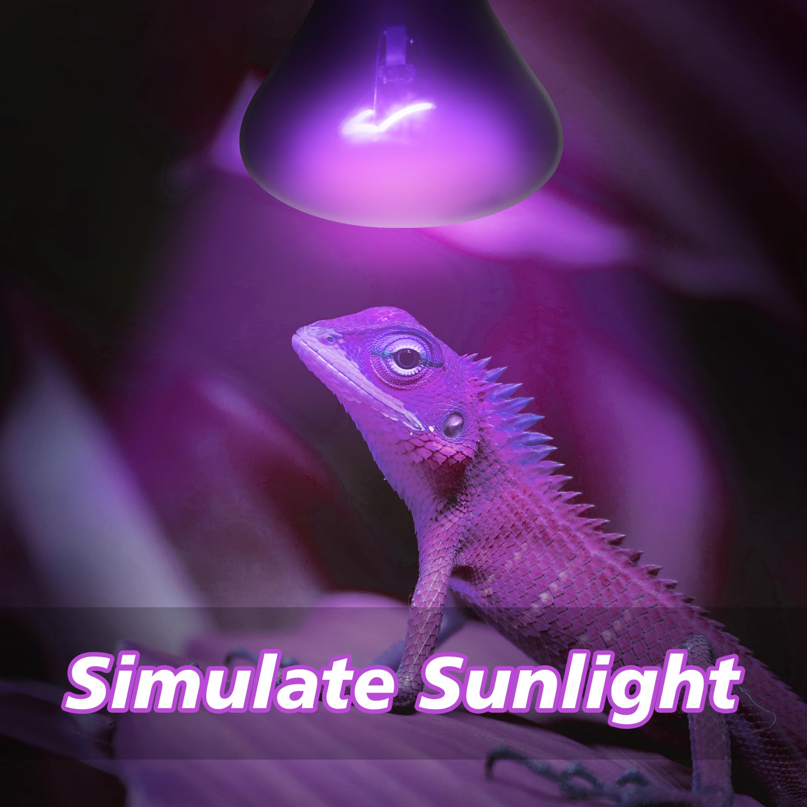 75W Reptile Heat Lamp Bulbs - Infrared Red Heat Bulb E26 110V for Chickens, Snakes, Lizards & Spiders - 2 Pack Black Bulbs for Pet Habitat Heating & Nighttime Warmth