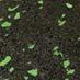 Green Dot