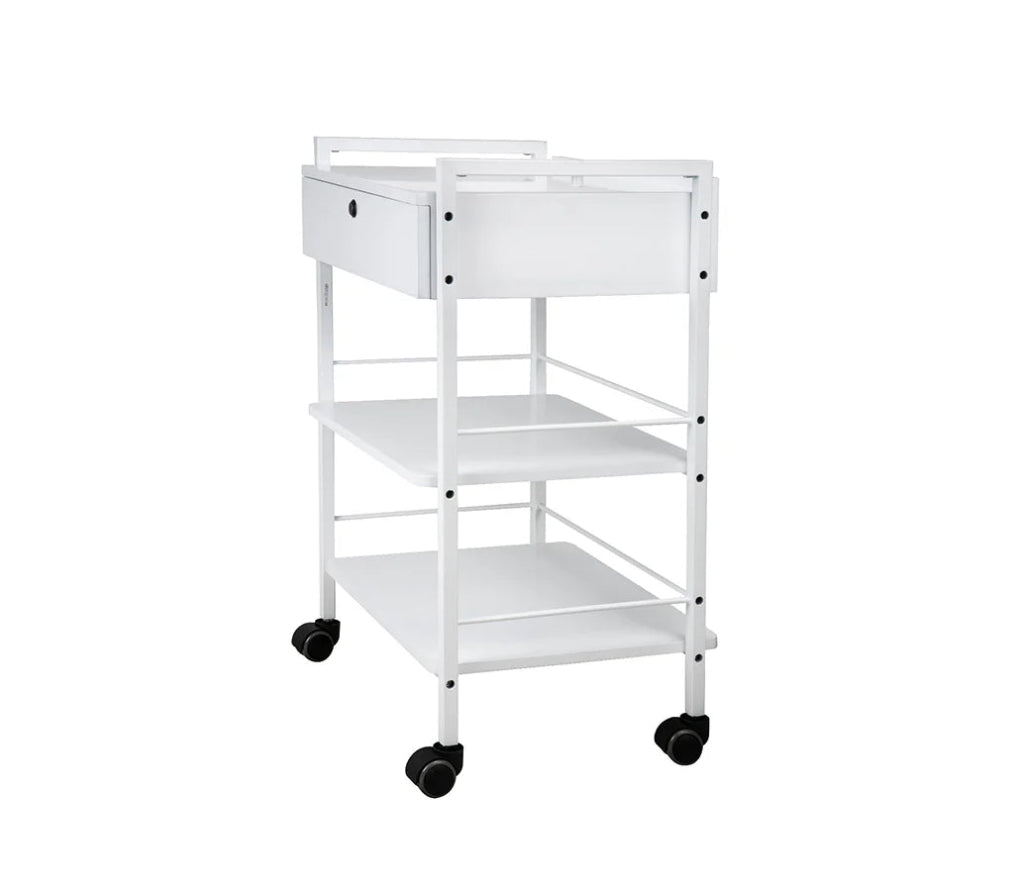 Silverfox Beauty Trolley 1019A - Professional Rolling Makeup Case with Wheels for Salon, Spa & Mobile Makeup Artists | Perfect for Cosmetics Storage & Organization On-The-Go