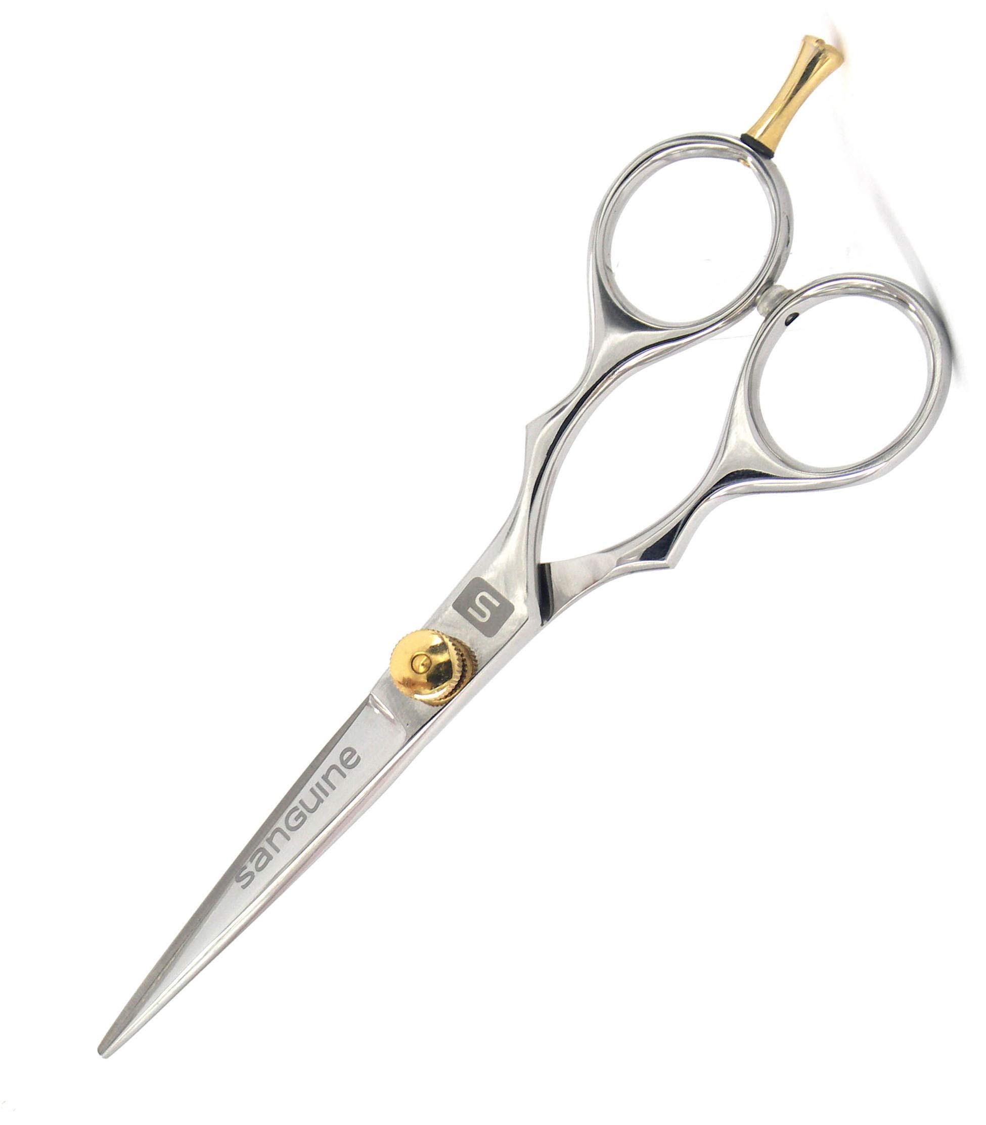 Professional Hair Cutting Scissors 6 Inch - Sharp Stainless Steel Barber Shears for Precision Haircuts, Styling & Trimming - Perfect for Salon, Home Use & Hairdressing Professionals