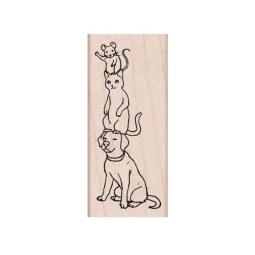 Dog Cat Mouse