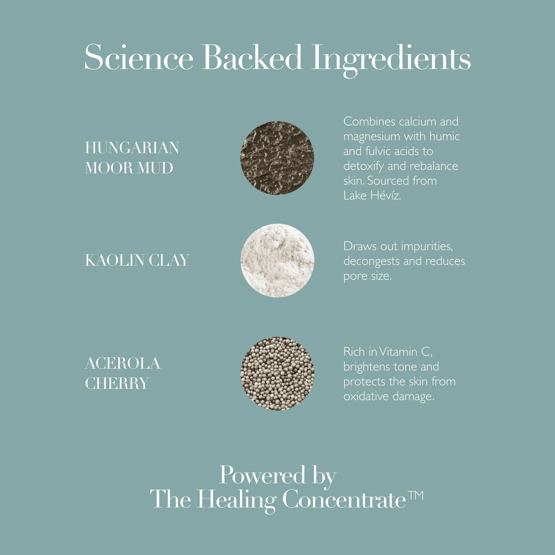 Best Deep Cleansing Face Mask for Acne & Blackheads - Pore Minimizing & Oil Control - Perfect for Daily Skincare Routine & Spa Night