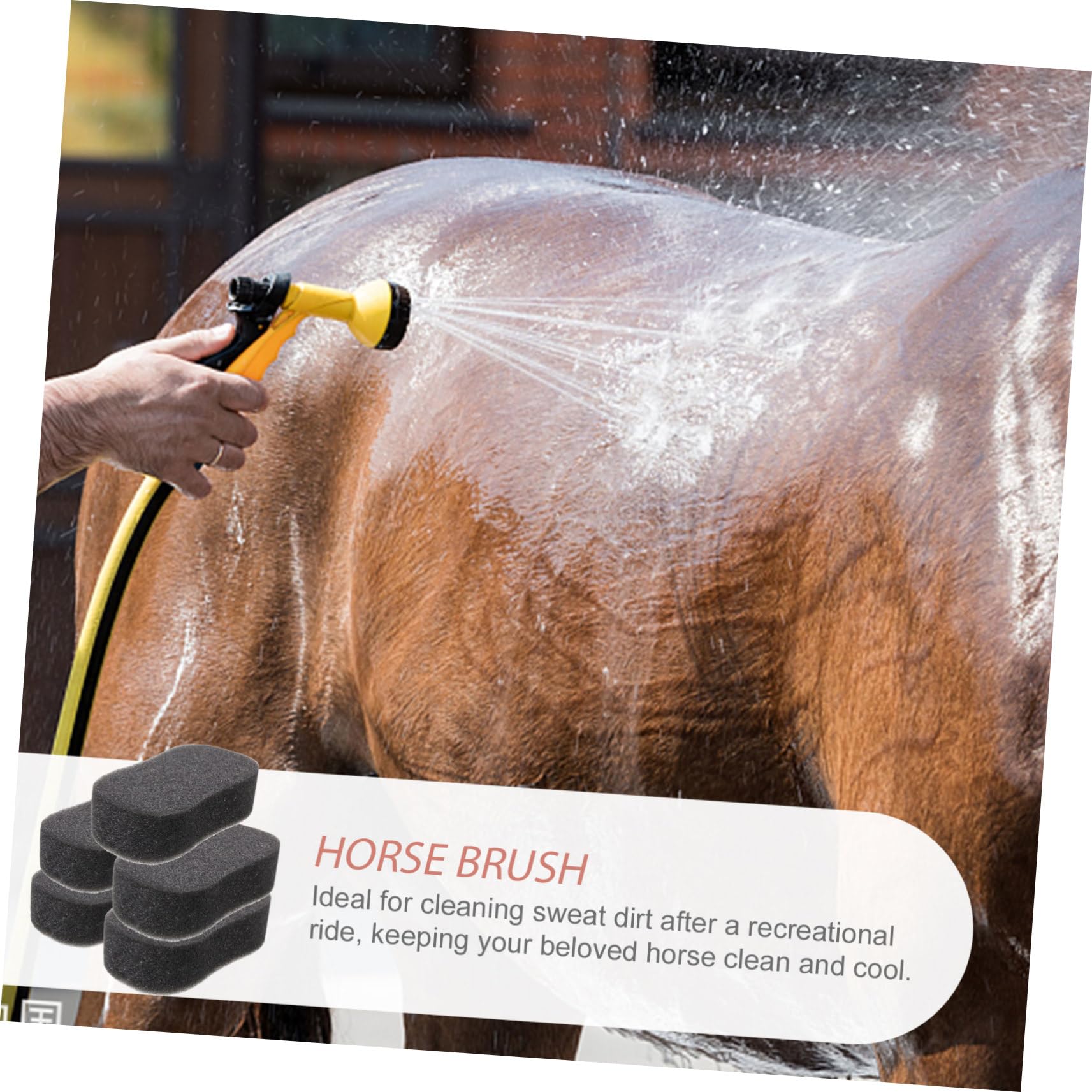 5-Pack Soft Bath Sponges for Horses - Gentle Grooming Sponge with Smooth Surface & Durable Design - Perfect for Horse Cleaning, Washing, and Skin Care - Ideal for Stables, Barns, and Equine Grooming Sessions