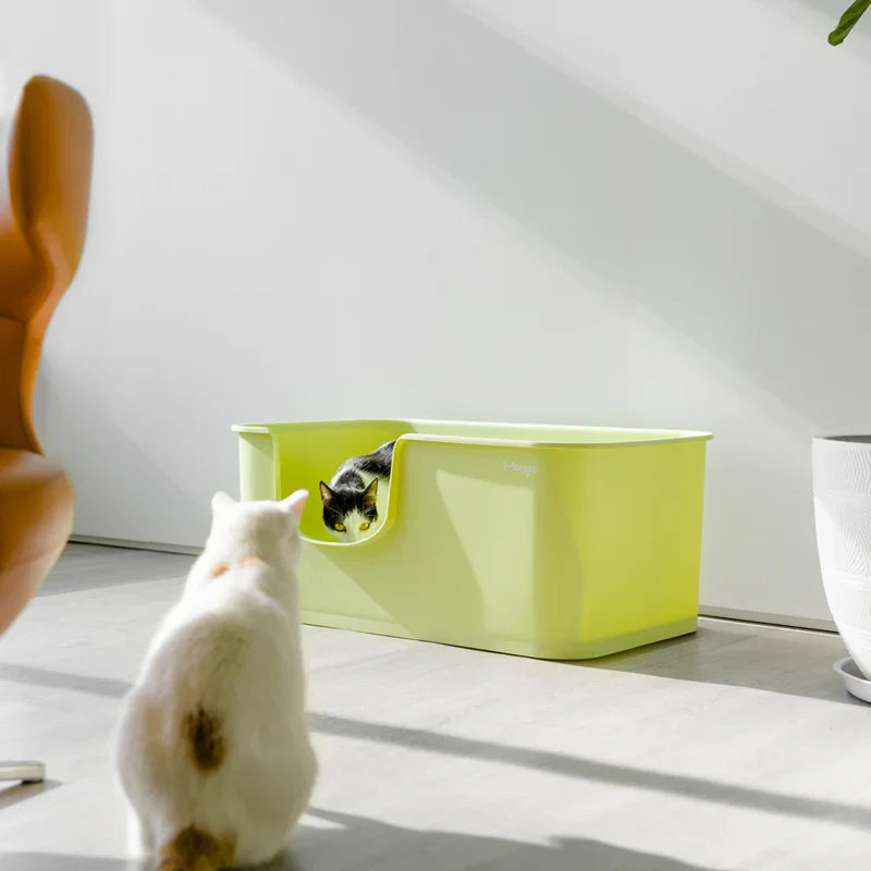 Premium Mango Open Litter Box for Large Cats - Extra Spacious Design for Comfortable Use | Ideal for Maine Coons, Ragdolls & Big Breeds | Perfect for Home, Apartment & Multi-Cat Households