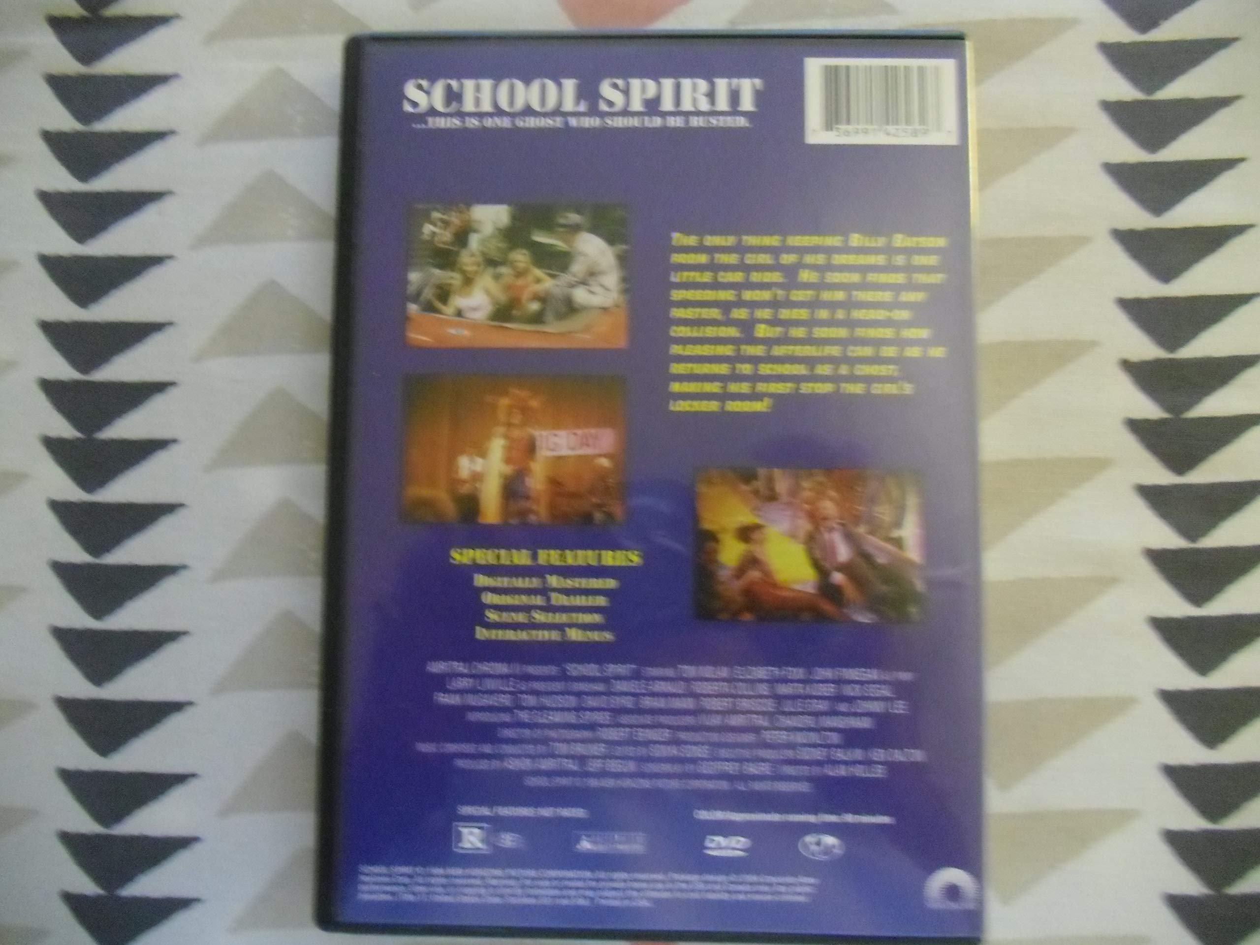 School Spirit - Motivational & Inspirational Decor for Classrooms, Dorms & Offices | Perfect for Students, Teachers & Fans