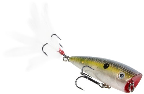 Clear Ghost Sexy Shad