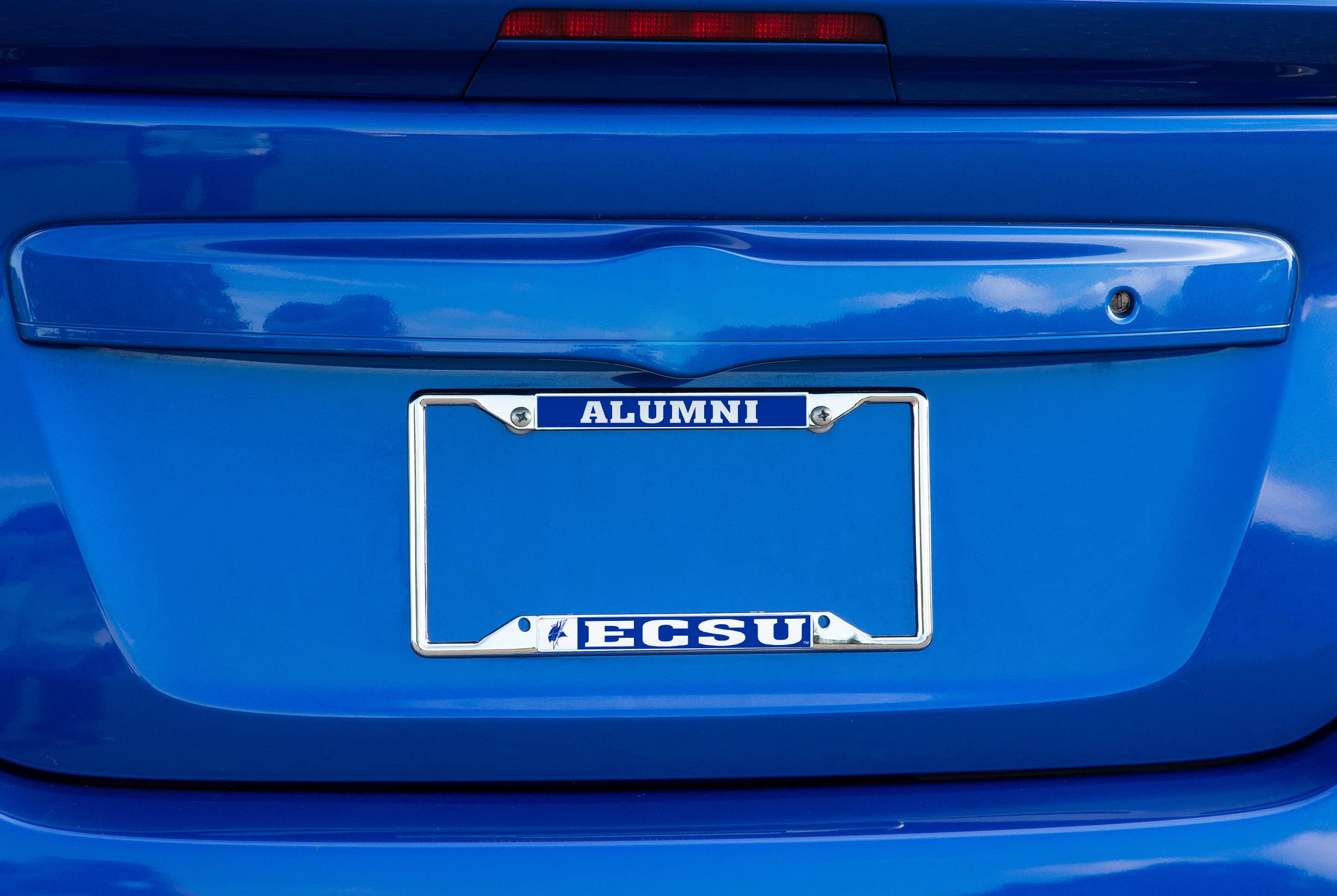 Elizabeth City State University Vikings Metal License Plate Frame - Desert Cactus Design Car Accessory for Alumni (Front/Rear Mount) - Perfect for Tailgating, Alumni Events & School Pride Display