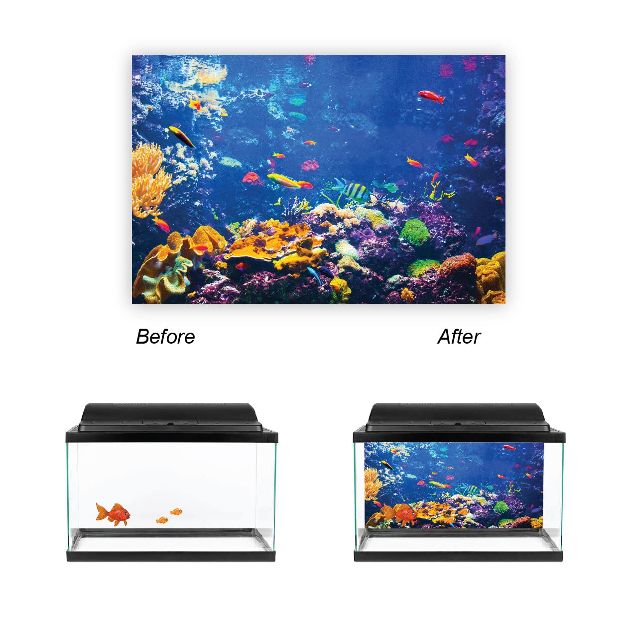 VVWV® Fish World Aquarium Background Stickers - Waterproof Vinyl Printed Decals for Fish Tanks (76x30cm) - Perfect for Freshwater & Saltwater Aquariums, Home & Office Decor