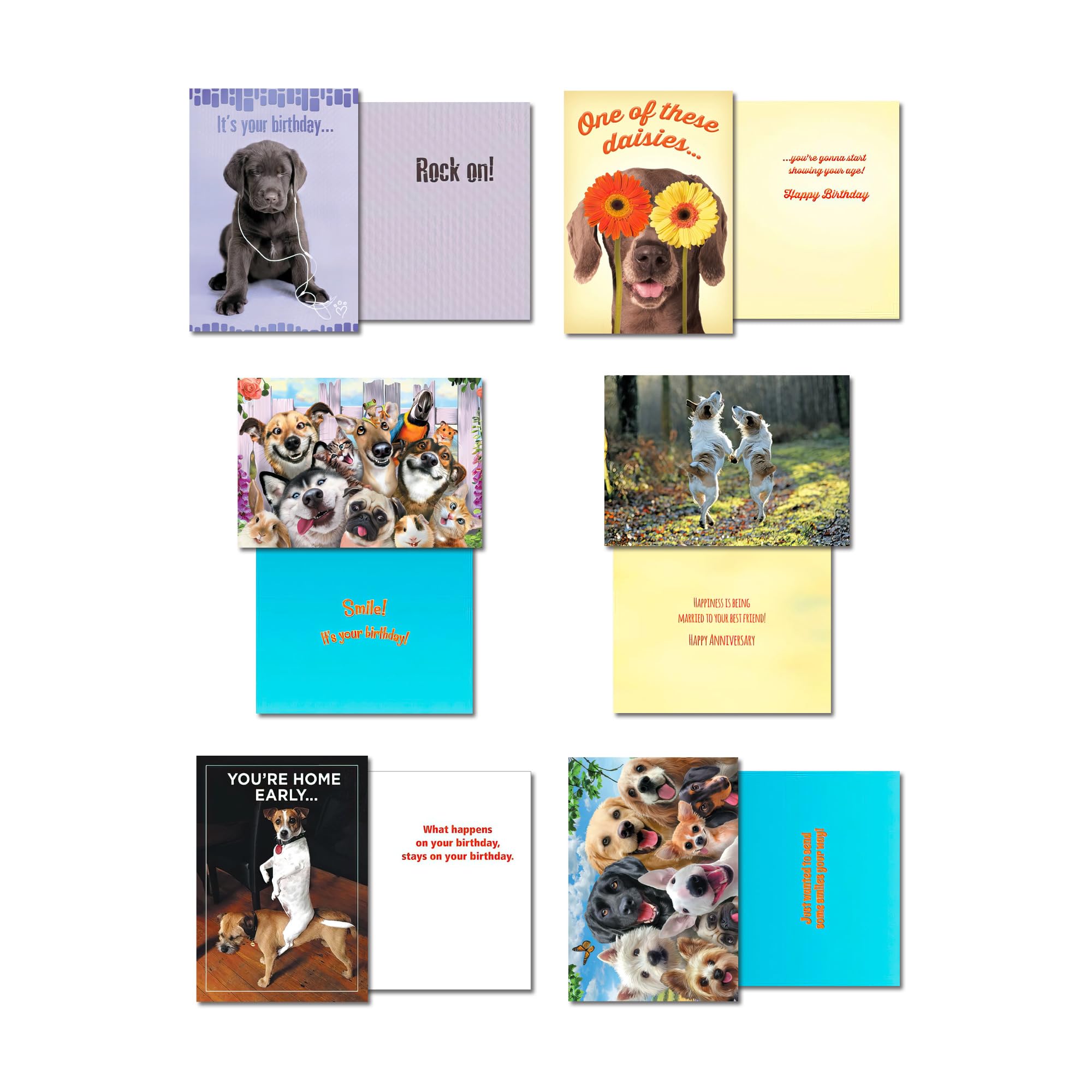 Leanin' Tree It's A Dog's World Greeting Cards Assortment Box - 20 All Occasion Cards with 22 Envelopes | Perfect for Birthdays, Thank You Notes & Pet Lovers