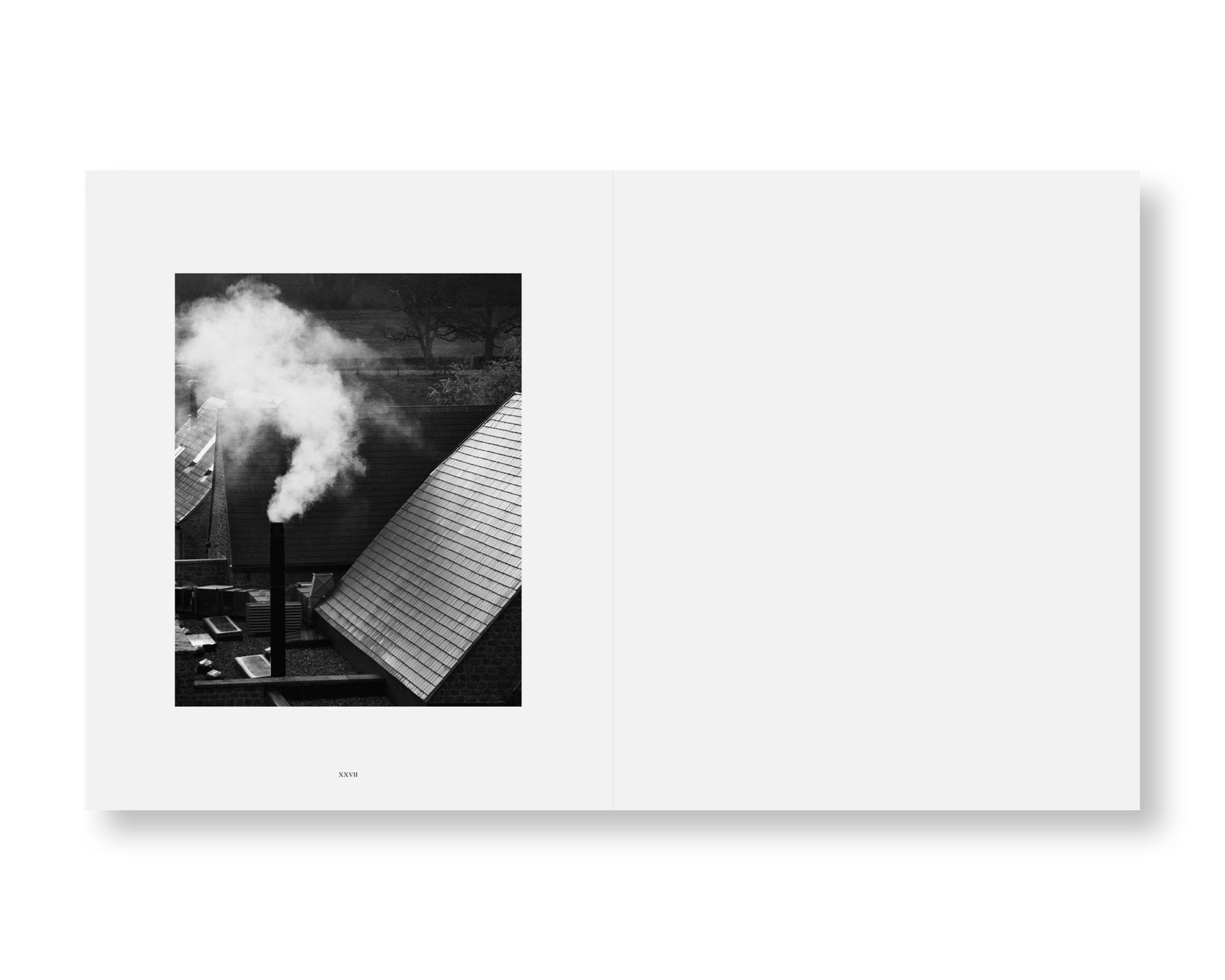 Penumbra by Rich Stapleton - Premium Home Decor & Art Prints for Modern Living Rooms & Office Spaces