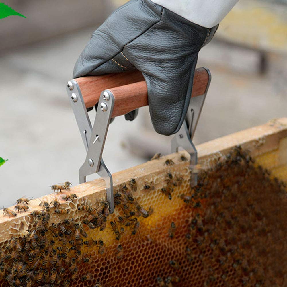Stainless Steel Beehive Clip - Bee Frame Holder & Lifter Tool for Beekeepers | Durable Apiculture Equipment for Hive Maintenance & Honey Harvesting | Perfect for Beekeeping, Frame Inspection & Colony Management