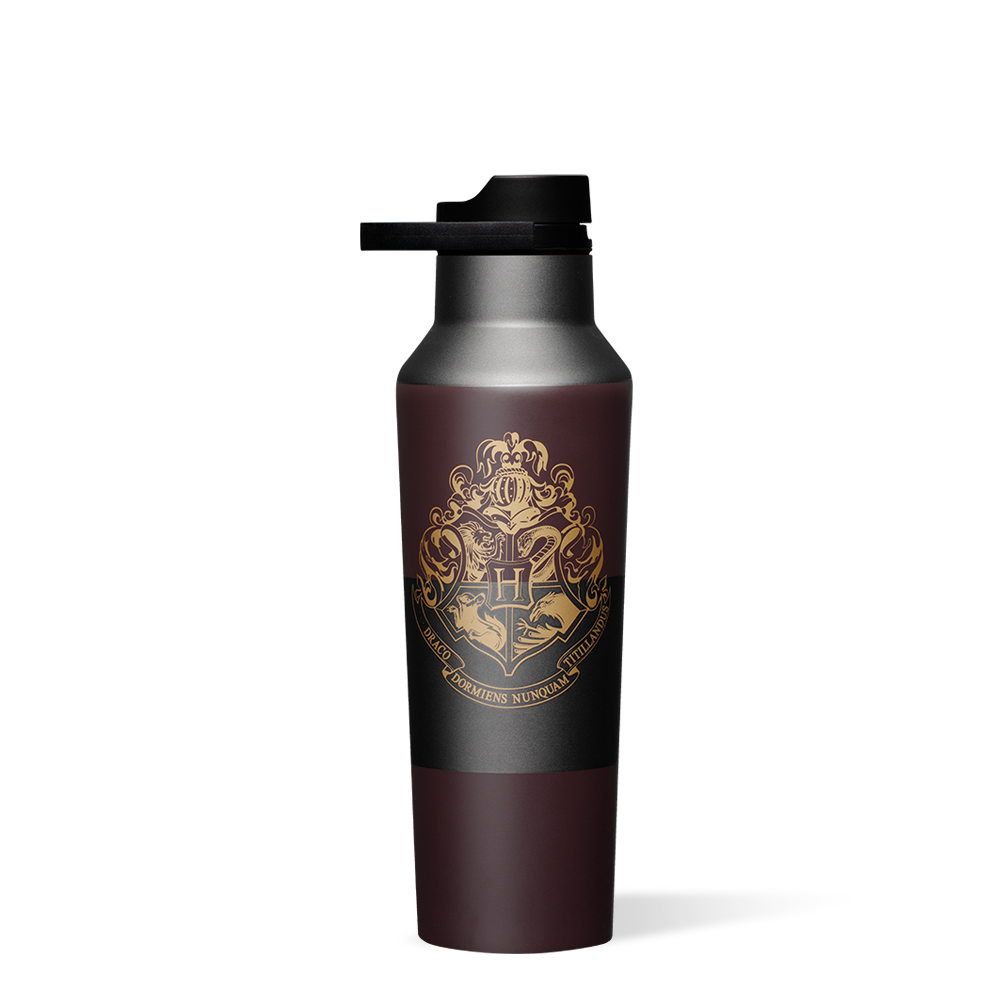 Harry Potter Stainless Steel Water Bottle - 20oz Insulated Sports Canteen for Hiking, Gym & School - Official Hogwarts House Themed Drinkware
