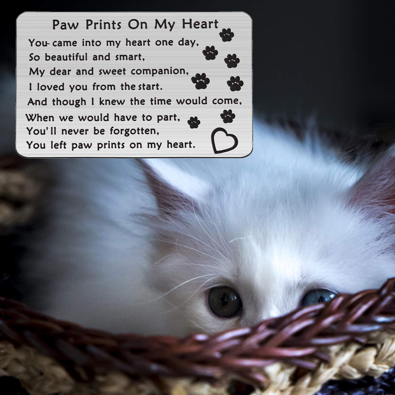 Pet Memorial Jewelry - Paw Print Wallet Card for Pet Loss Sympathy Gift | Pet Owner Keepsake for Comfort & Remembrance