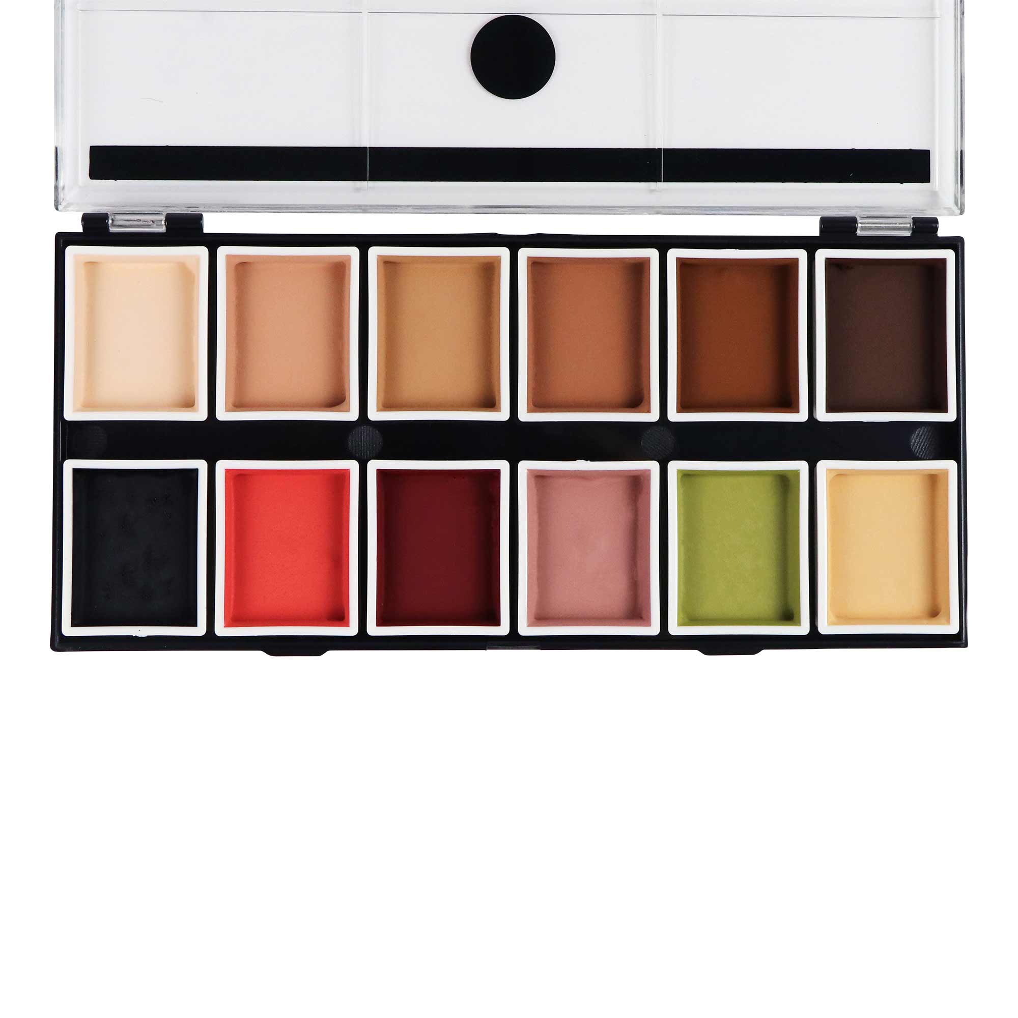12 Color Alcohol-Activated Tattoo Cover Up Palette - Professional Body Paint for Tattoo Artists & Makeup Artists - Perfect for Halloween, Cosplay & Special FX Makeup
