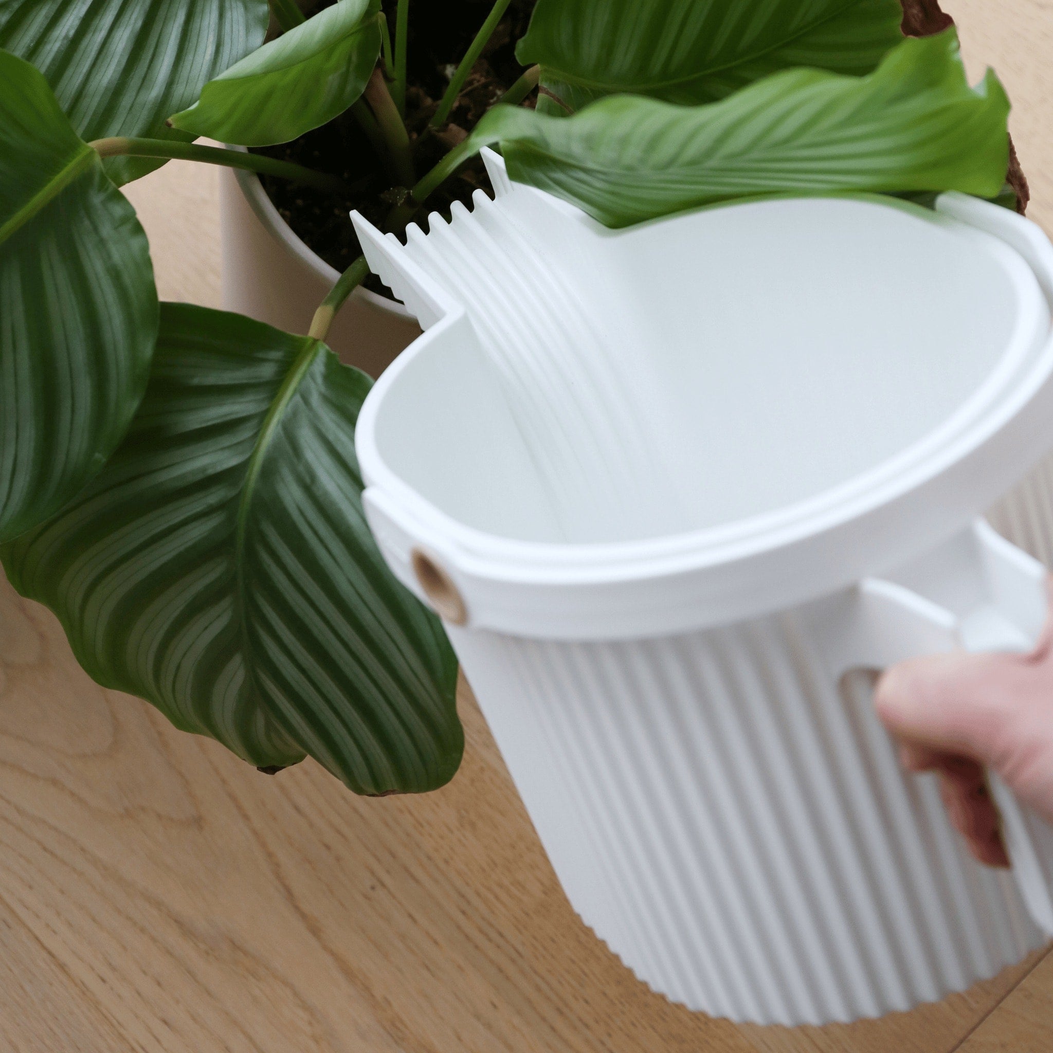 HACHIMAN KASEI 5L Large White Garden Beetle Watering Can - Perfect for Indoor Plants, Outdoor Flowers & Gardening Enthusiasts