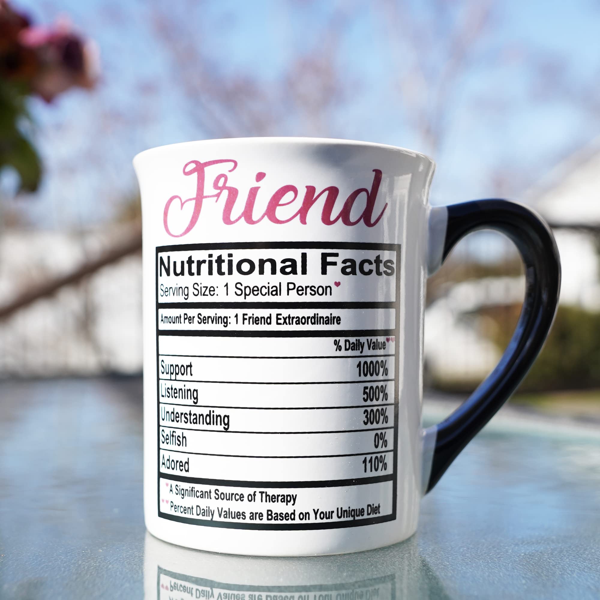 Cottage Creek 16oz Ceramic Best Friend Coffee Mug - Thoughtful Friend Gift for Birthdays, Holidays & Daily Coffee Rituals