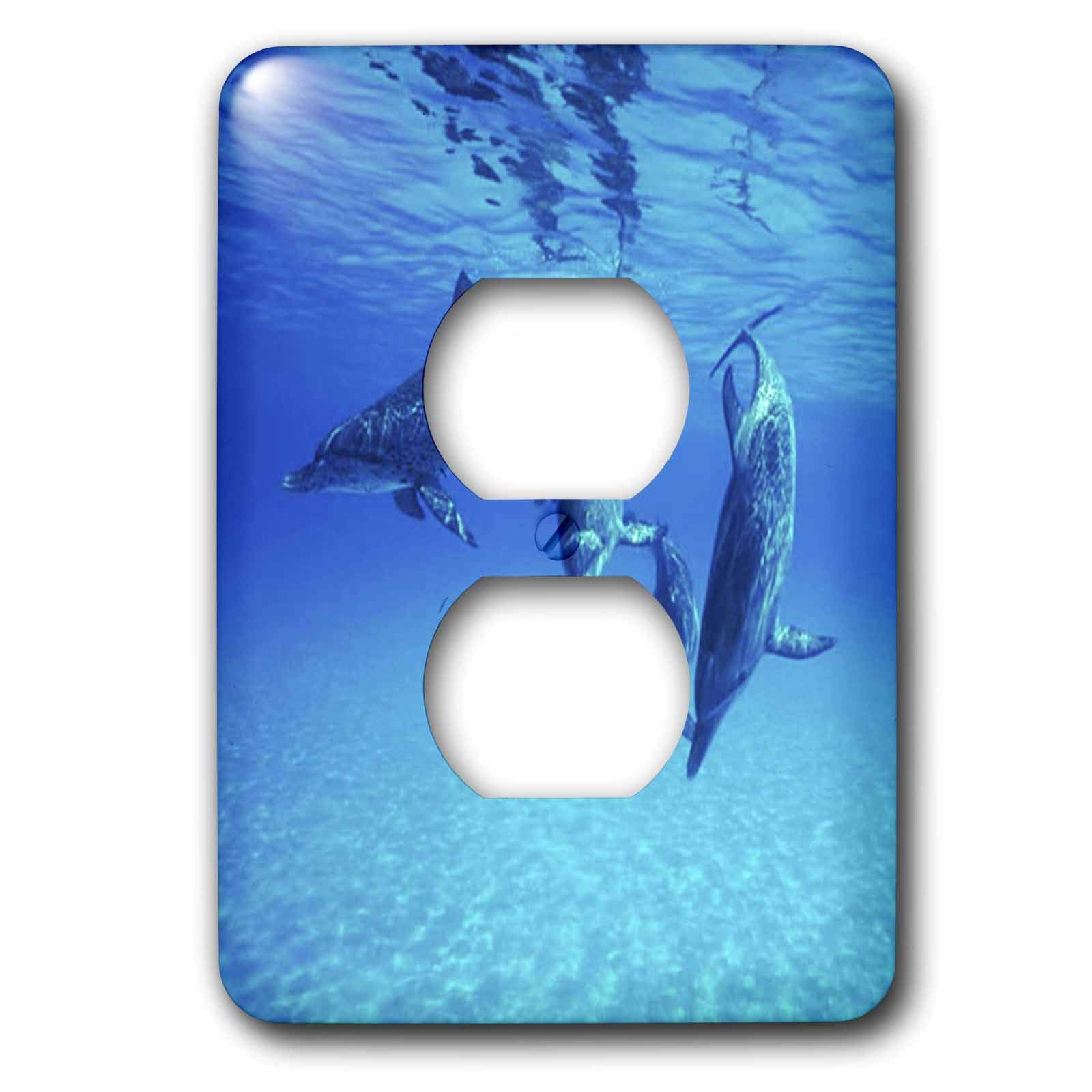3D Rose Dolphins Underwater 2 Plug Outlet Cover - Decorative Electrical Safety Cover for Kids & Pets - Perfect for Nursery, Bedroom, Bathroom, and Office