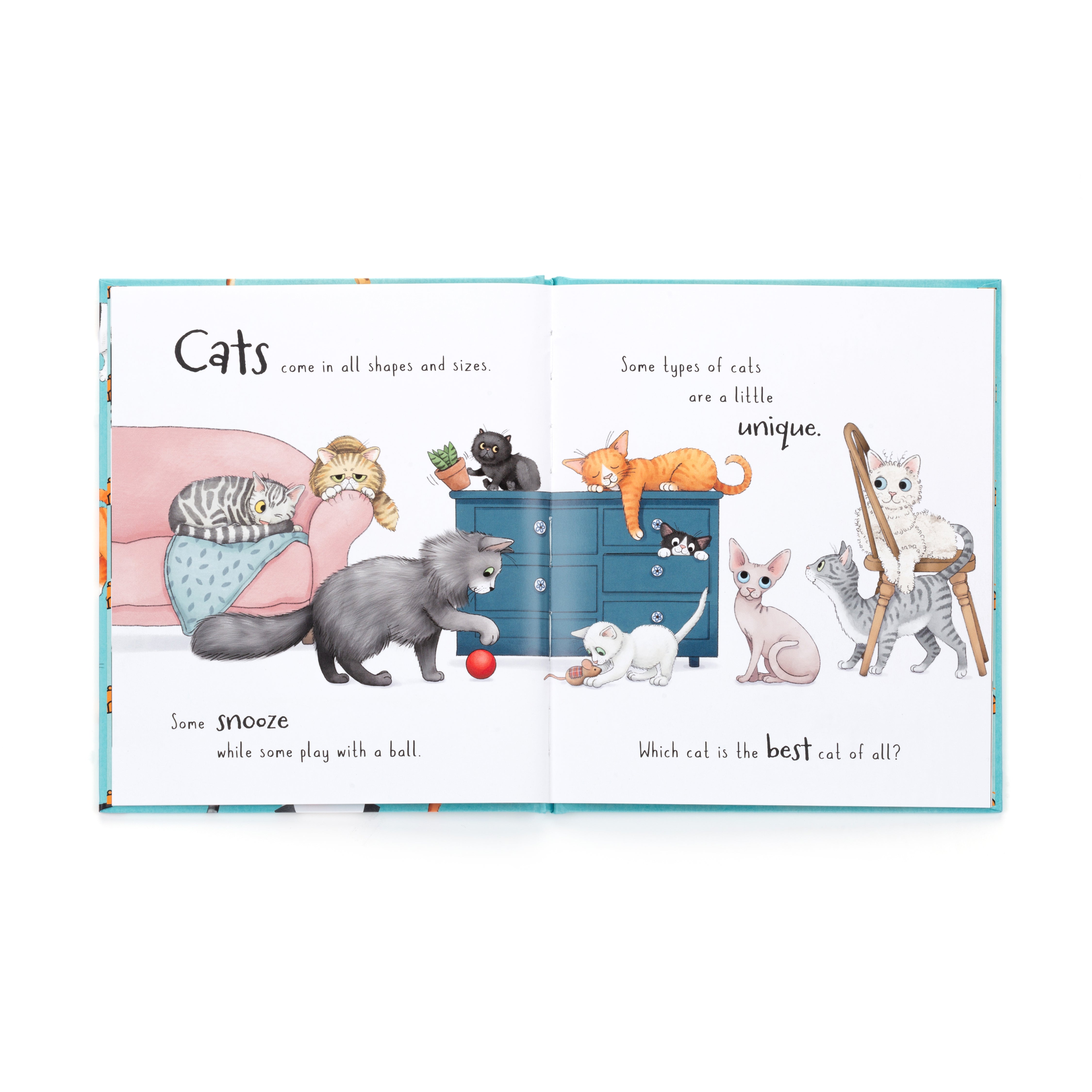 Premium Cat Supplies & Accessories for All Breeds - Perfect for Grooming, Playtime & Home Comfort