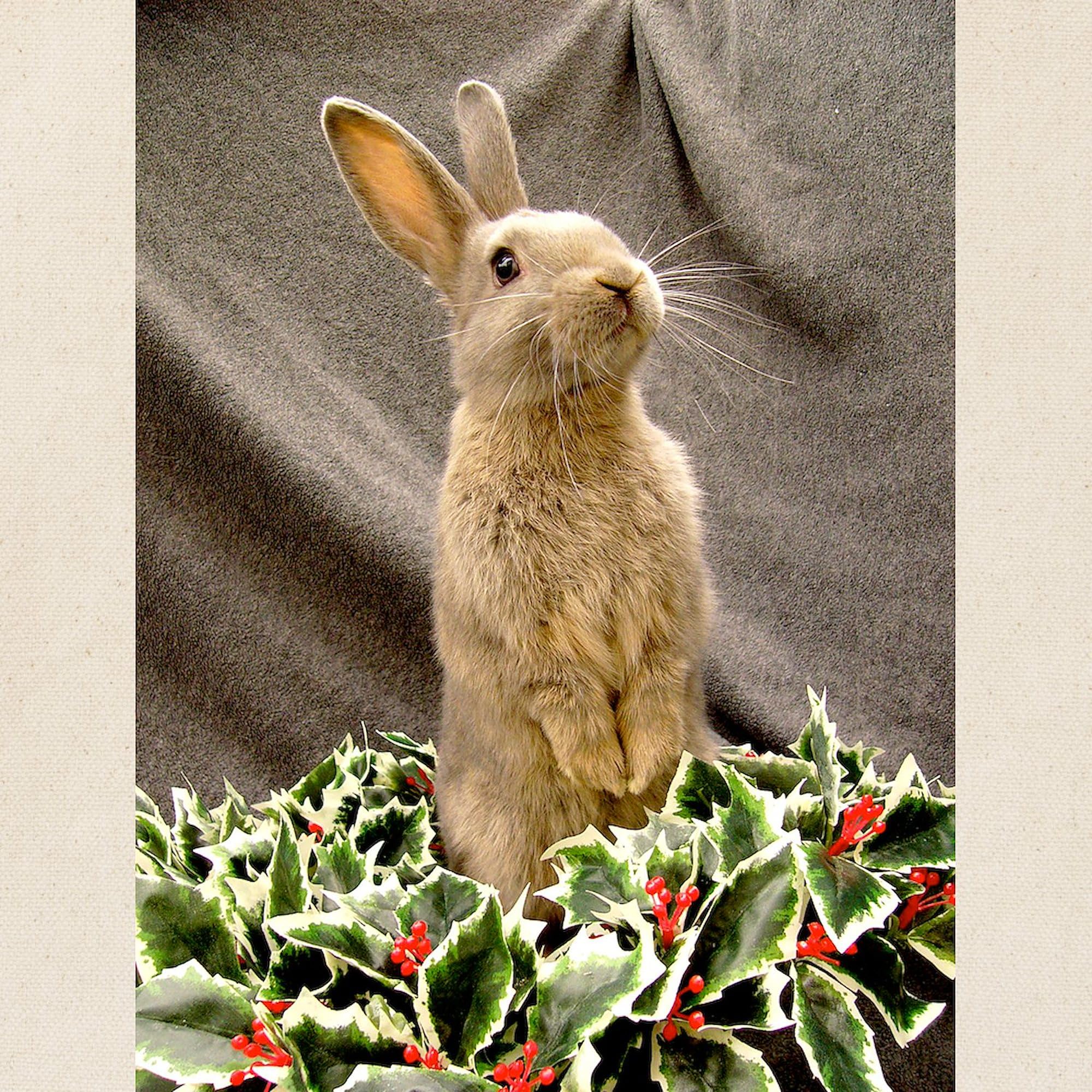 Standing Wreath Bunny Canvas Tote Bag - Eco-Friendly Reusable Shopping Bag for Groceries, Beach & Daily Use | Natural Cotton Tote with Cute Rabbit Design