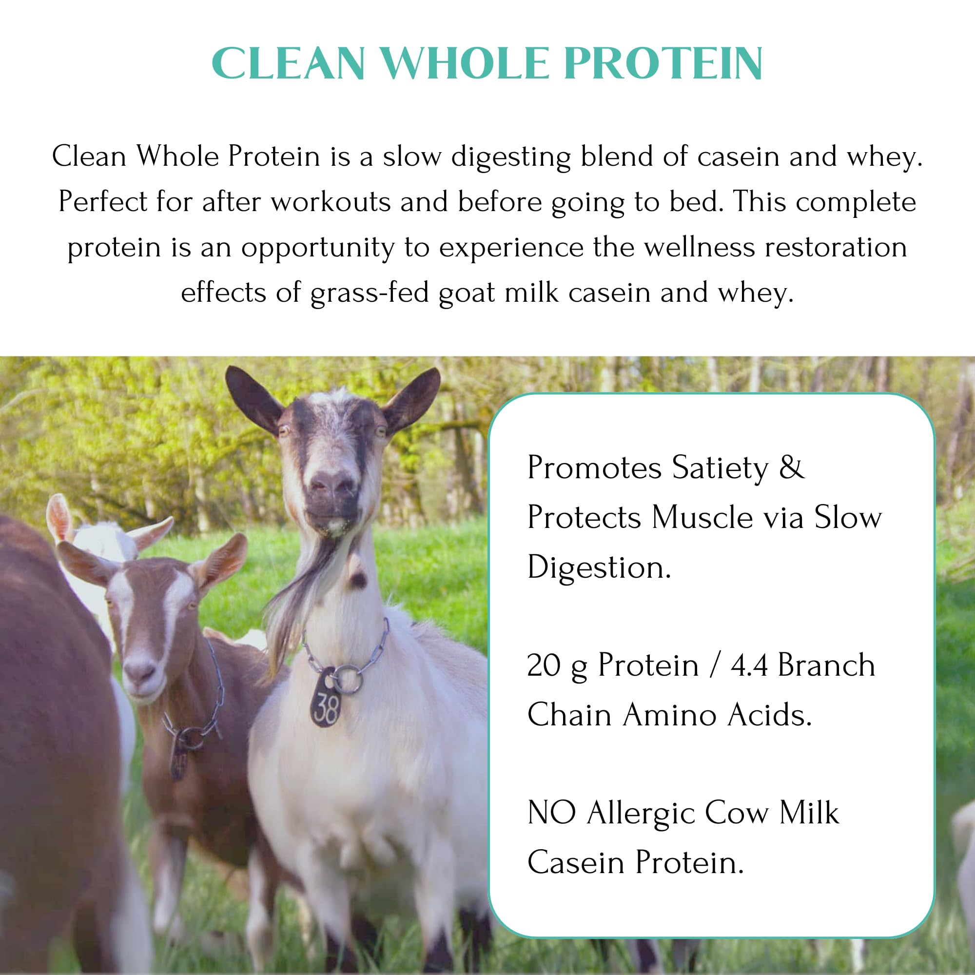 Mt. Capra Clean Whole Protein Powder | Grass-Fed Goat Whey & Casein Protein for Muscle Growth | 20g Protein per Serving, No Sweeteners, Easy Digestion | 13 Servings (400g) - Ideal for Post-Workout Recovery & Healthy Lifestyle