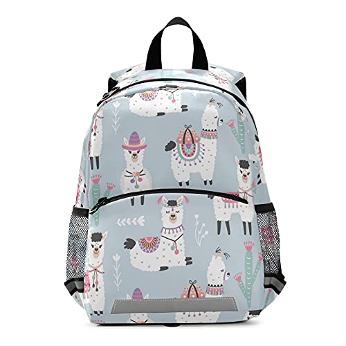 Llama