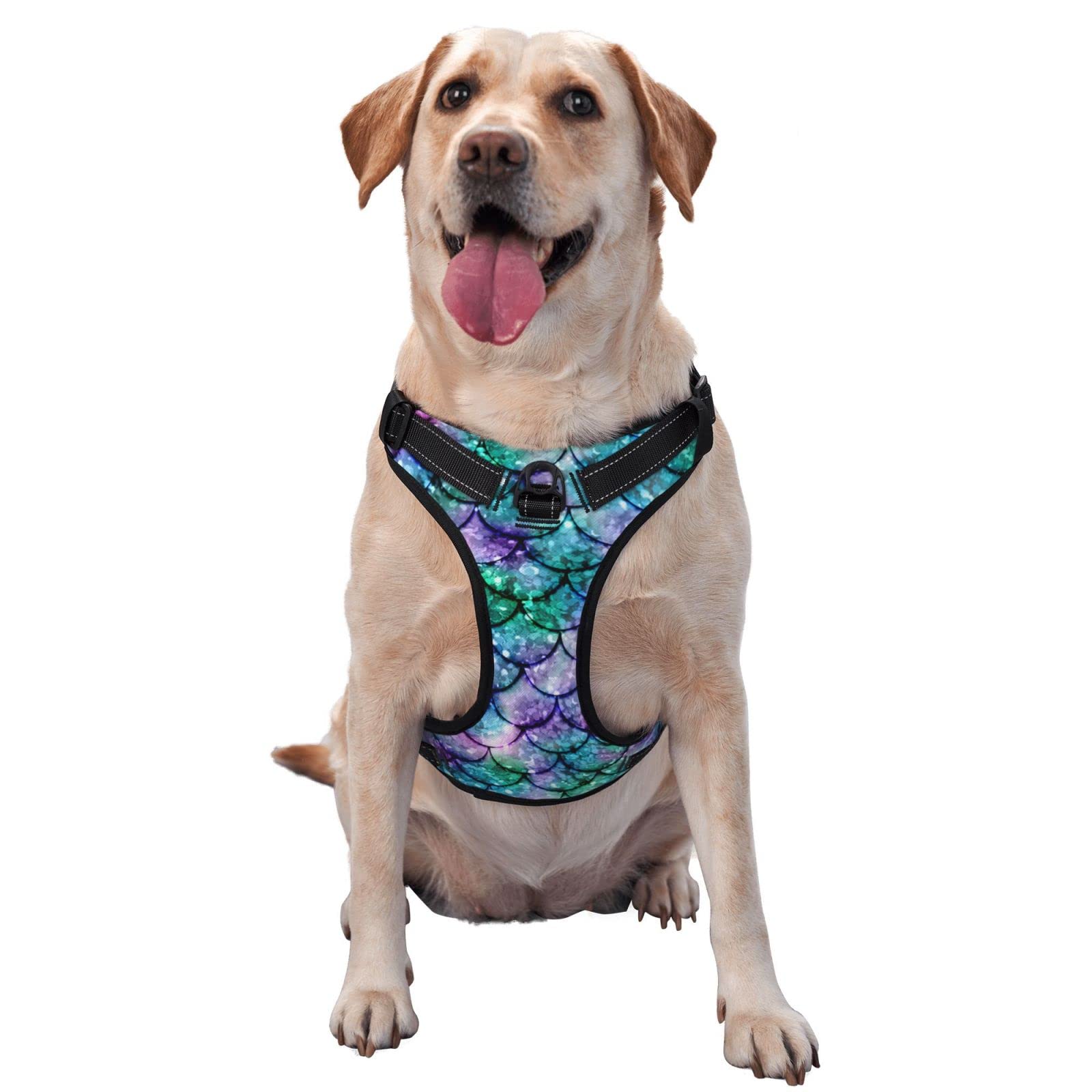 No Pull Dog Harness with Leash Clip - Reflective Adjustable Pet Vest for Small Medium Large Dogs | Breathable Training Walking Safety Harness for Puppies & Adult Dogs | Perfect for Outdoor Hiking, Jogging & Night Walks
