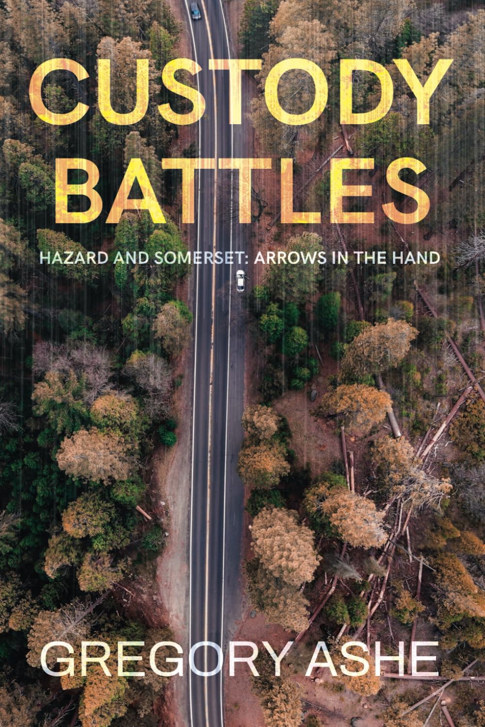 Hazard and Somerset: Arrows in the Hand - Custody Battles Legal Thriller Novel | Perfect for Crime Fiction Lovers & Courtroom Drama Fans