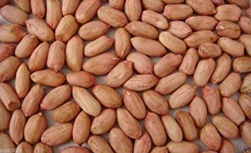 Organic Non-GMO Jumbo Virginia Peanut Seeds - 50 Untreated Seeds for Planting, Gardening & Healthy Snacks